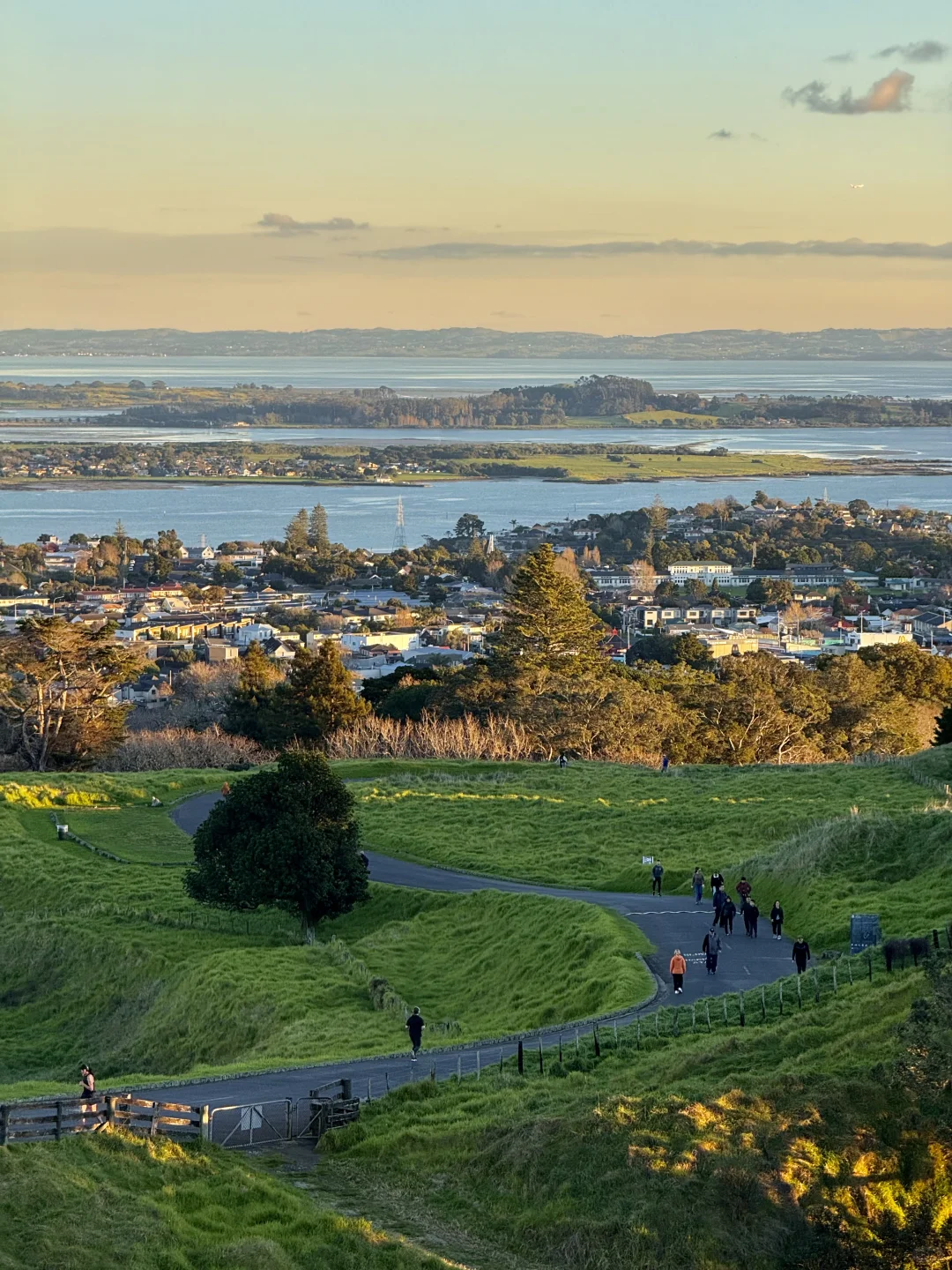 奥克兰已回，坚决不删！！！能劝一个是一个……