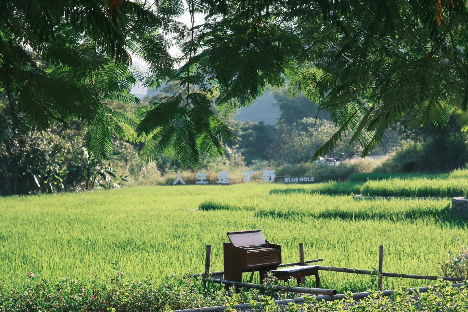 于是321跳进广西天坑！