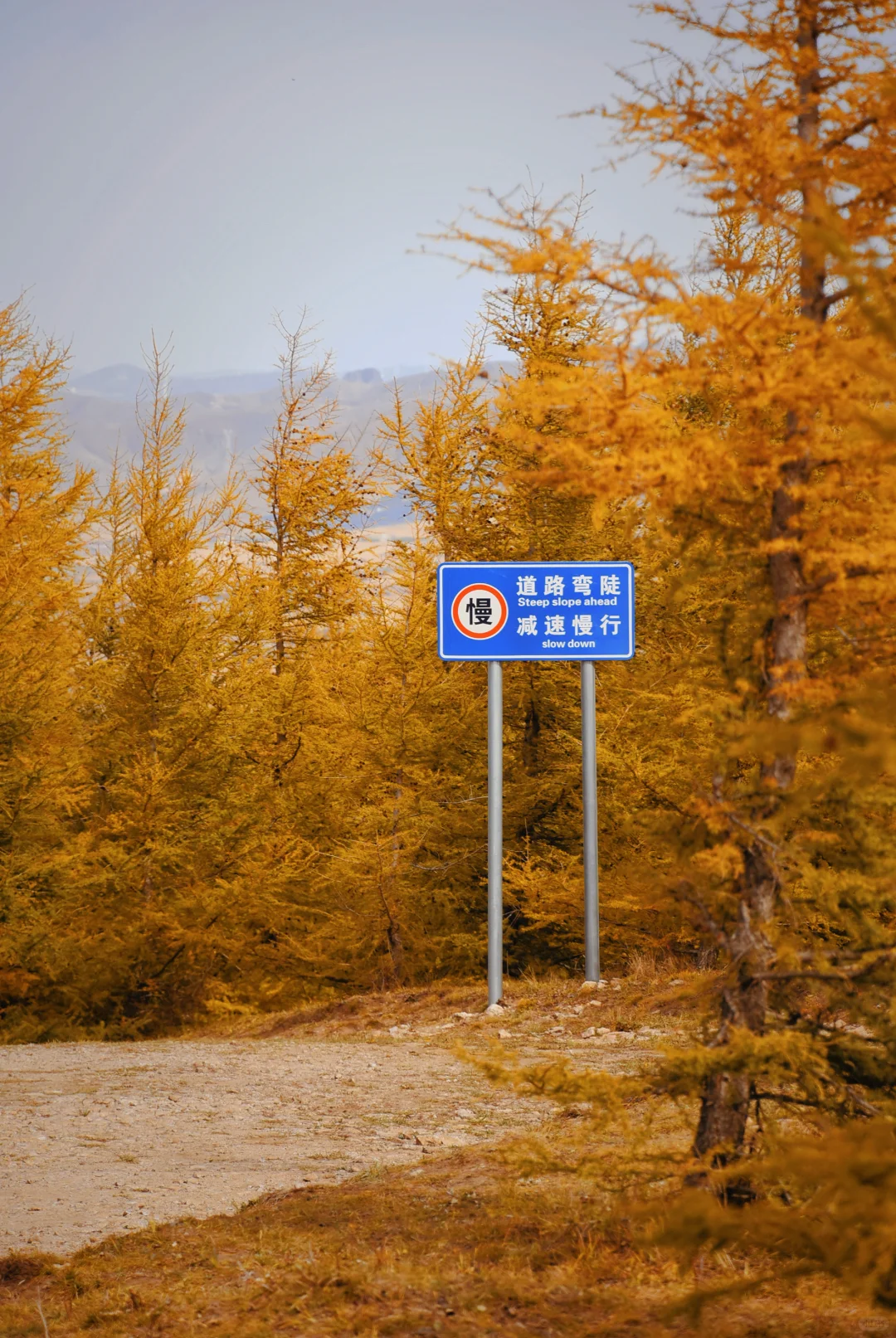 北京自驾|在承德找到了大兴安岭平替🍂