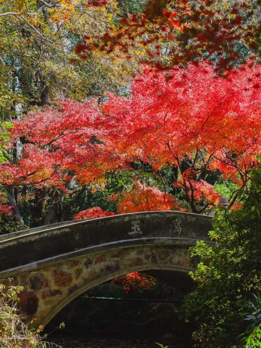 建议全文背诵！无锡最全秋日漫步地图大公开！
