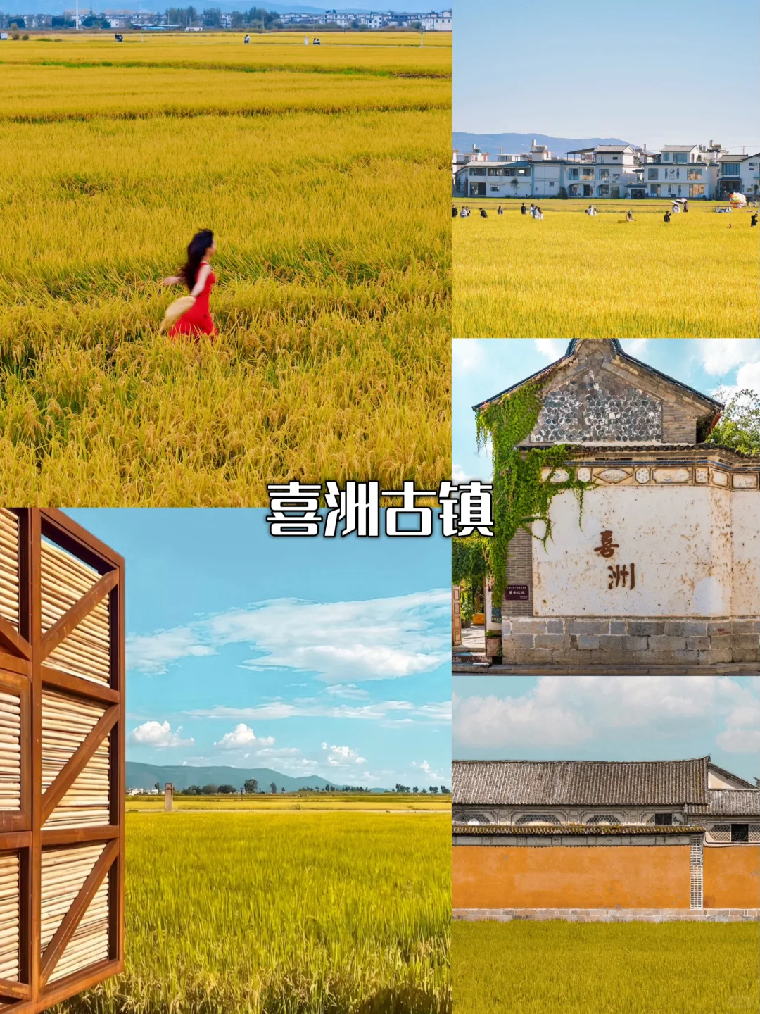 2025 国庆云南全攻略｜昆大丽一次玩遍🥁