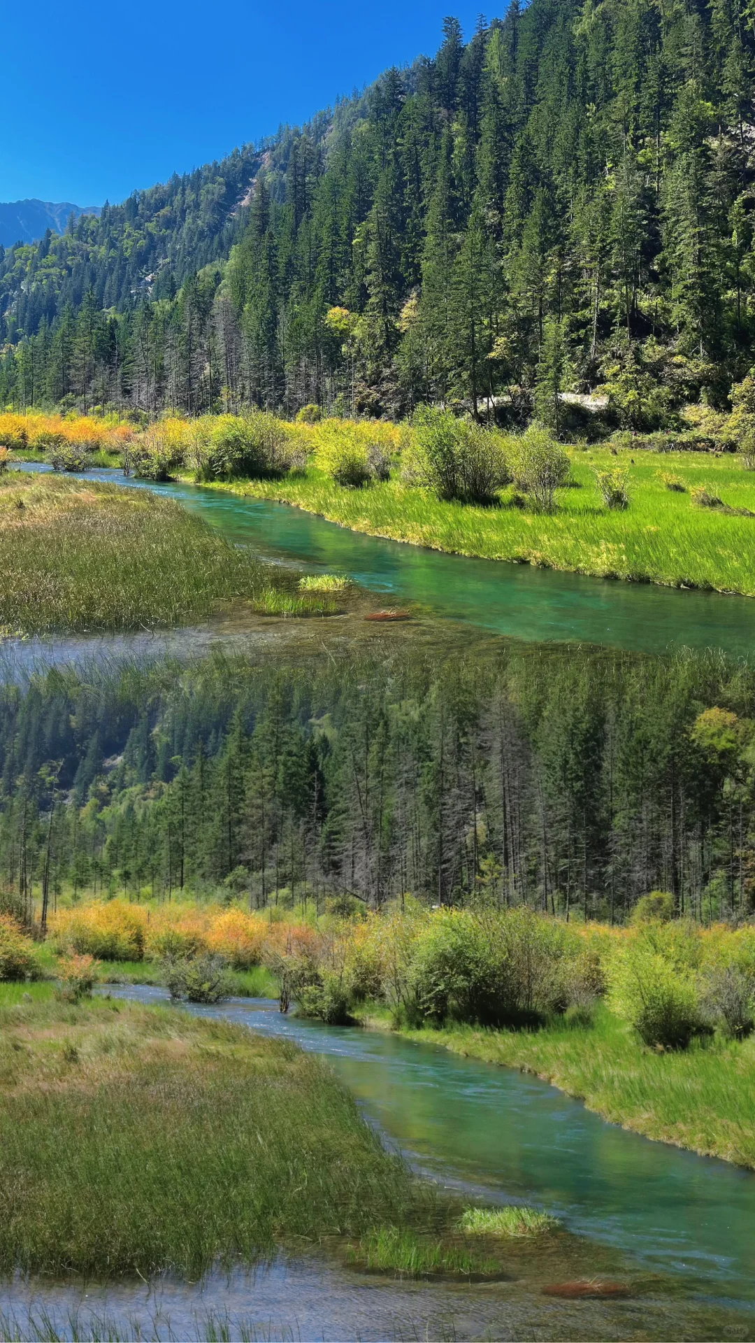 9.24九寨沟刚回来！奉劝9-10月要去的…