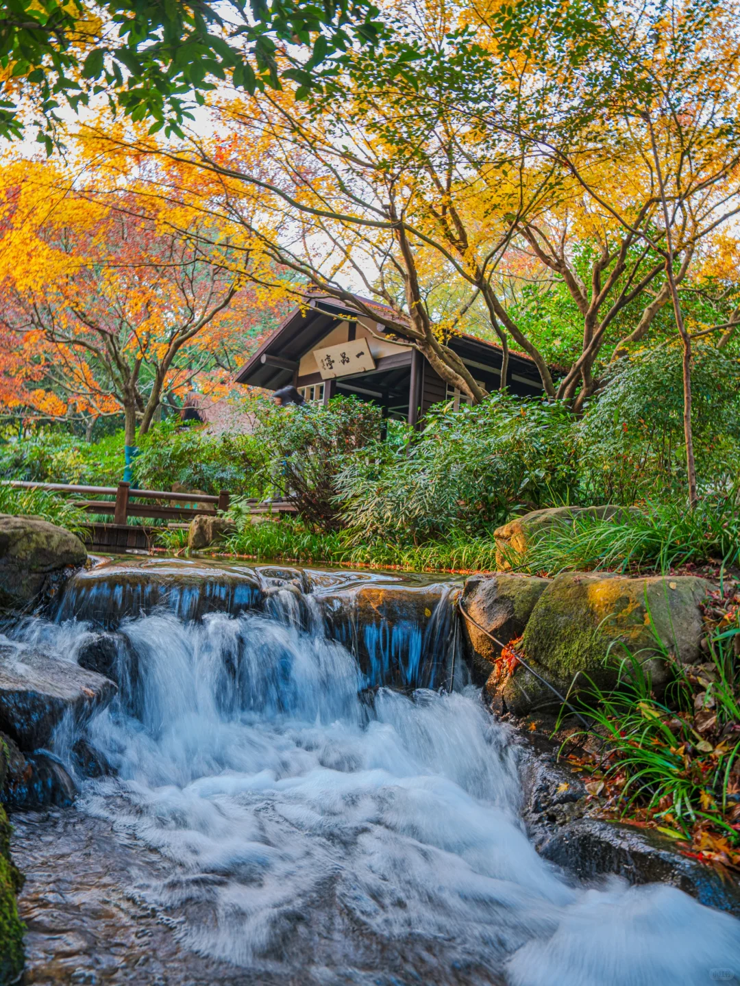 接下来，杭州堪称国内旅行的天花板‼️