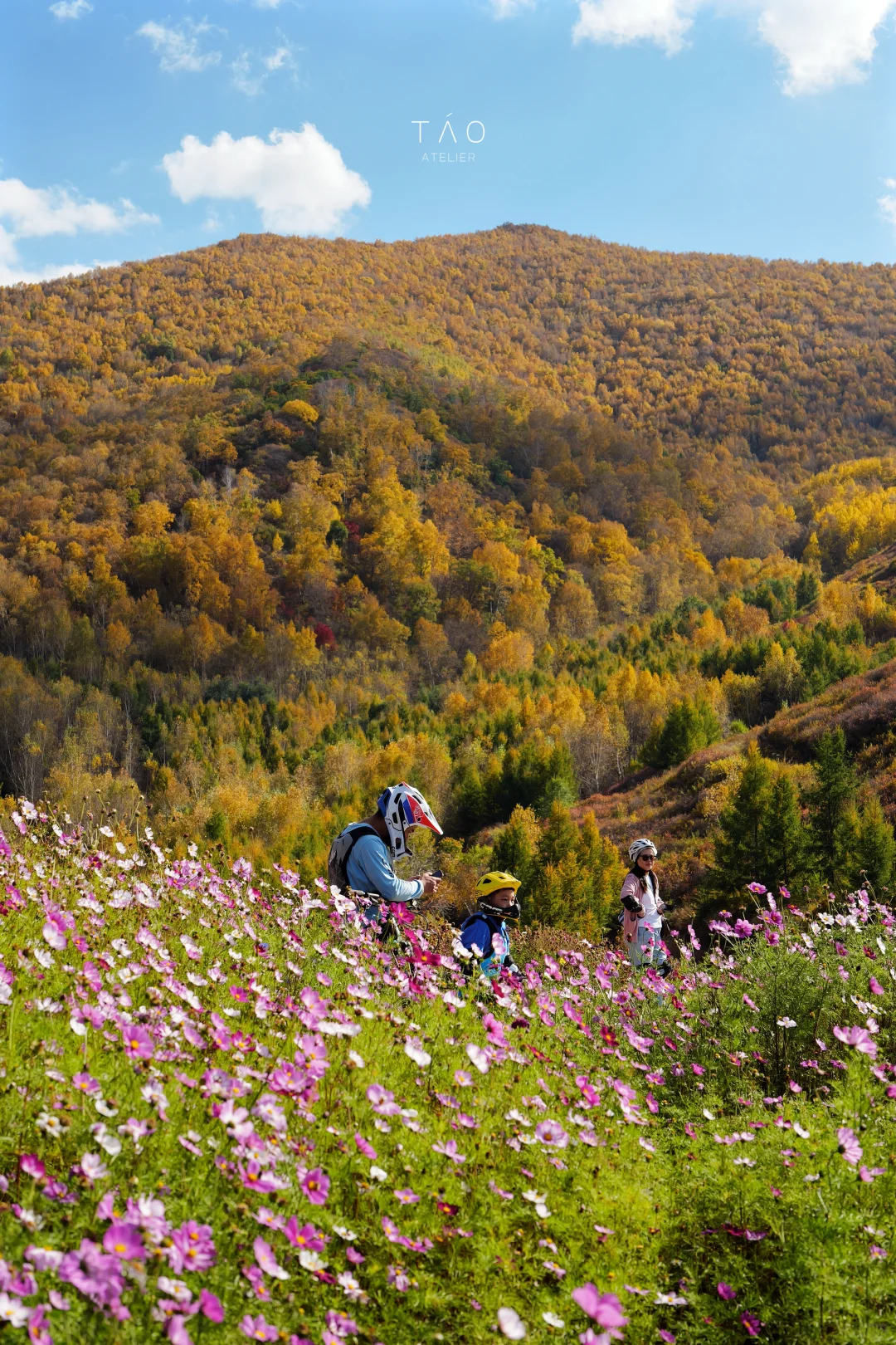 🍁崇礼六大赏秋秘境｜闯入金色童话世界