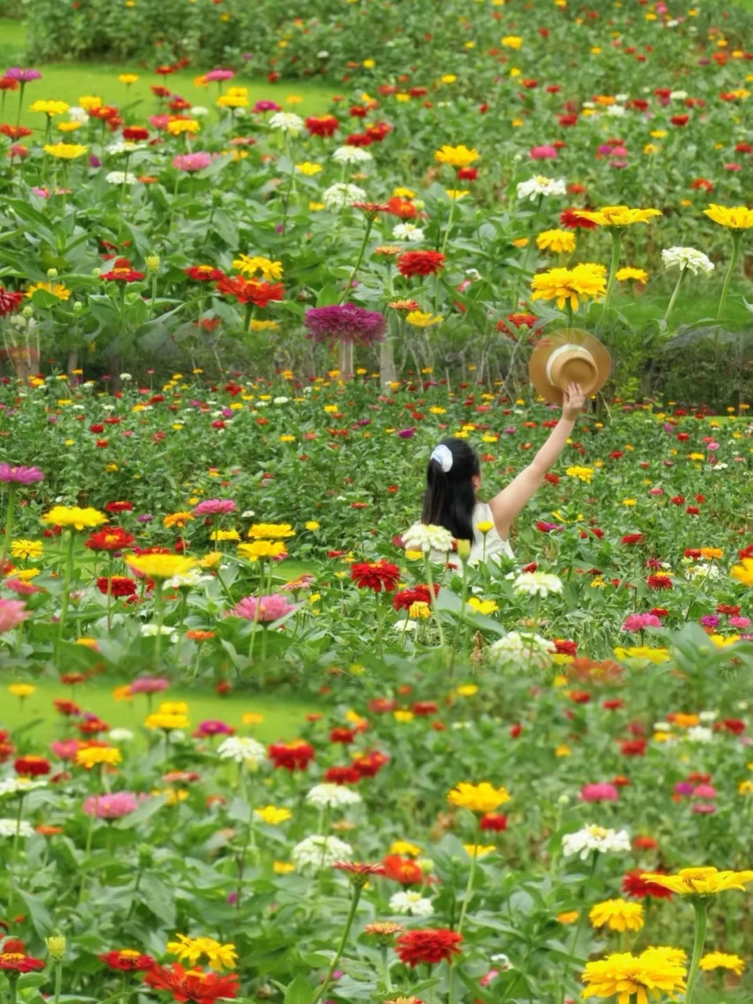 江浙沪。最具仙侠气息的古镇出现了