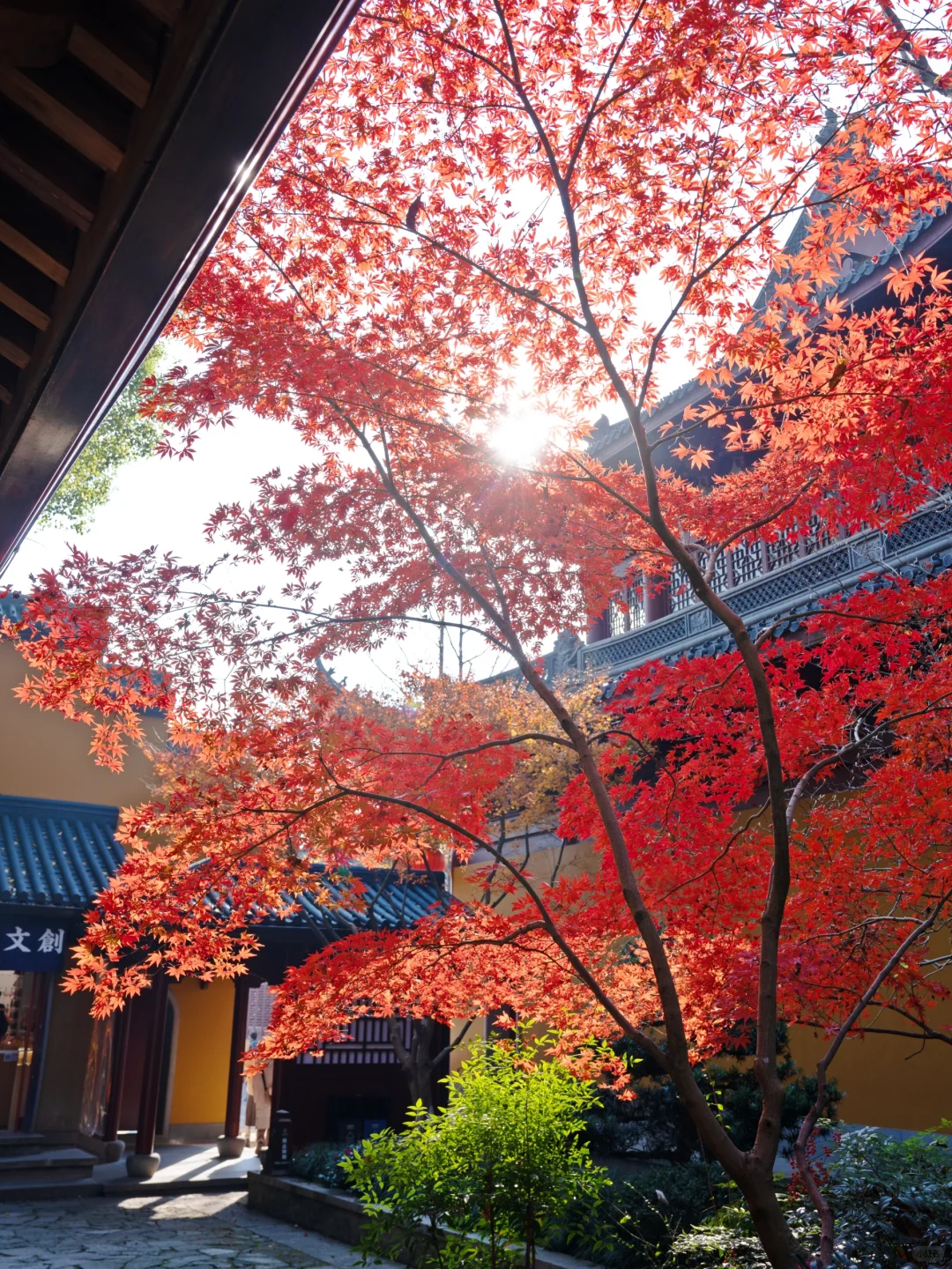 接下来，杭州堪称国内旅行的天花板‼️