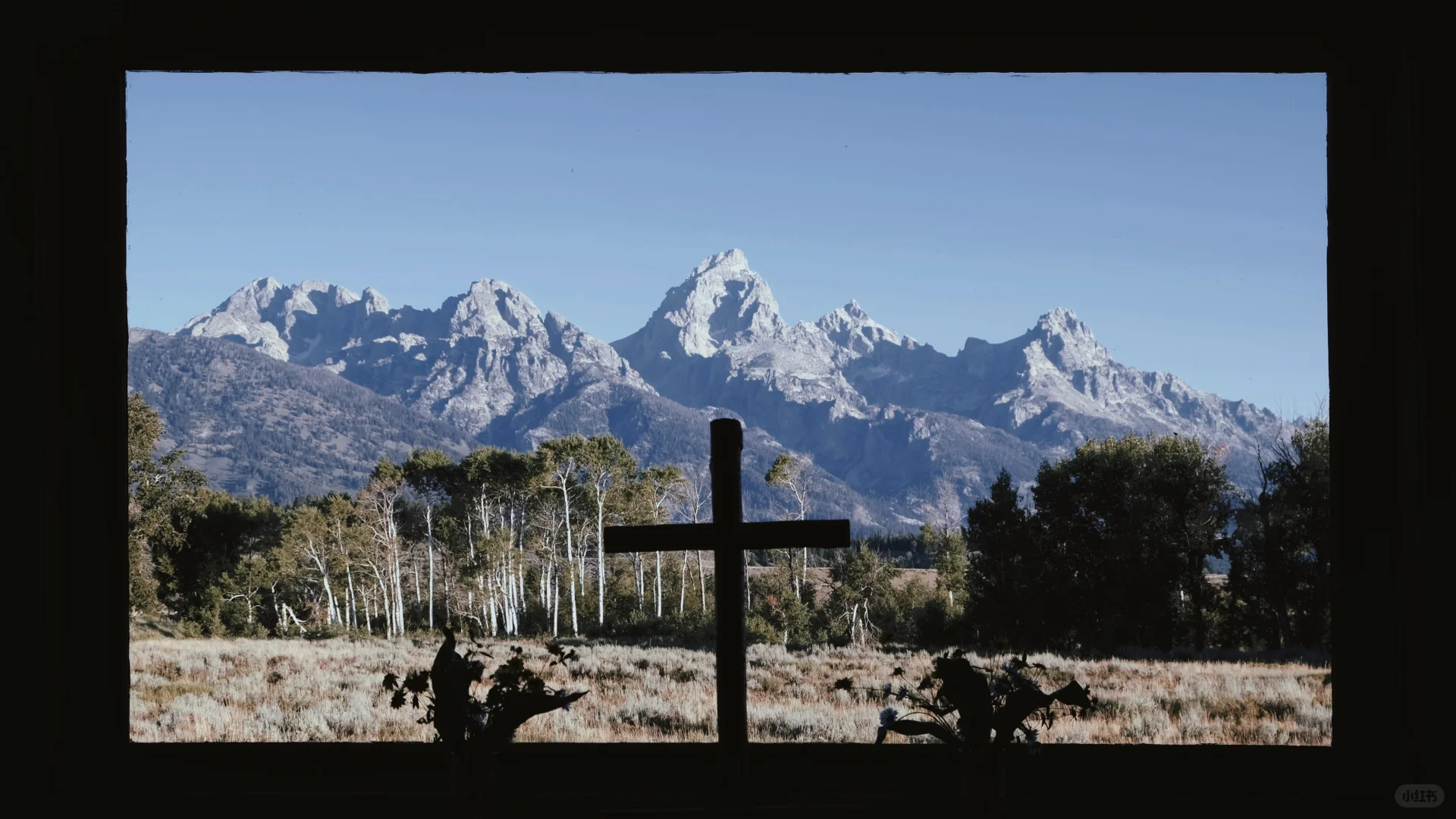 📸2021-2022最喜欢的18张图存档