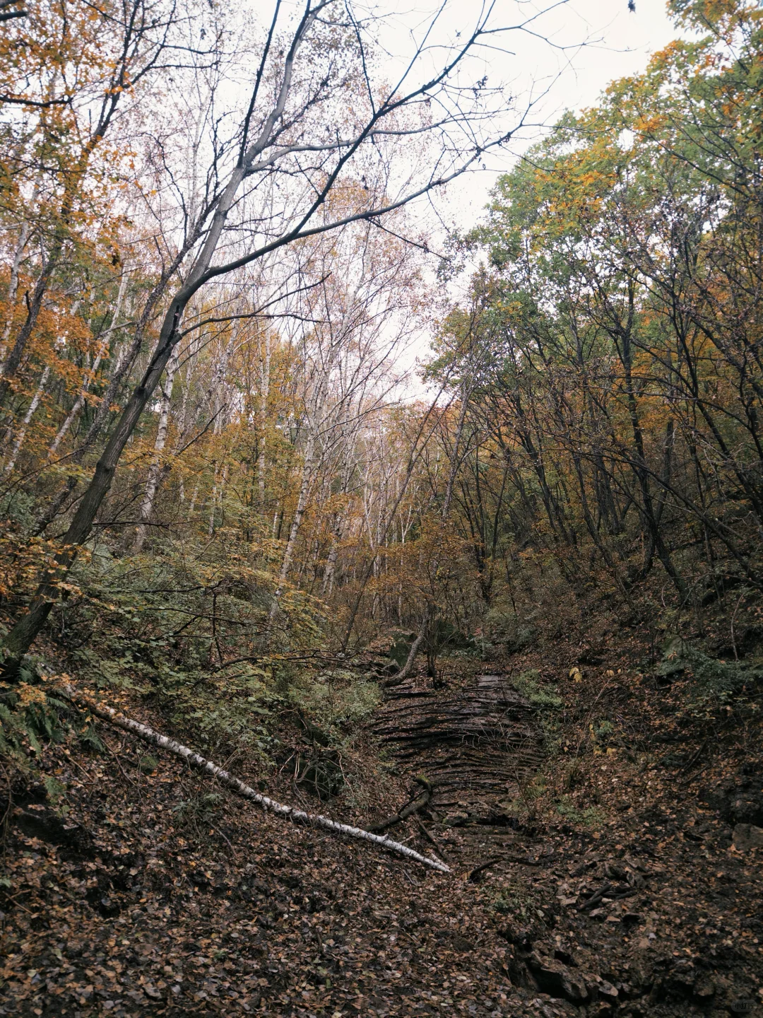刚探的！喇叭沟门冰川景区徒步全攻略