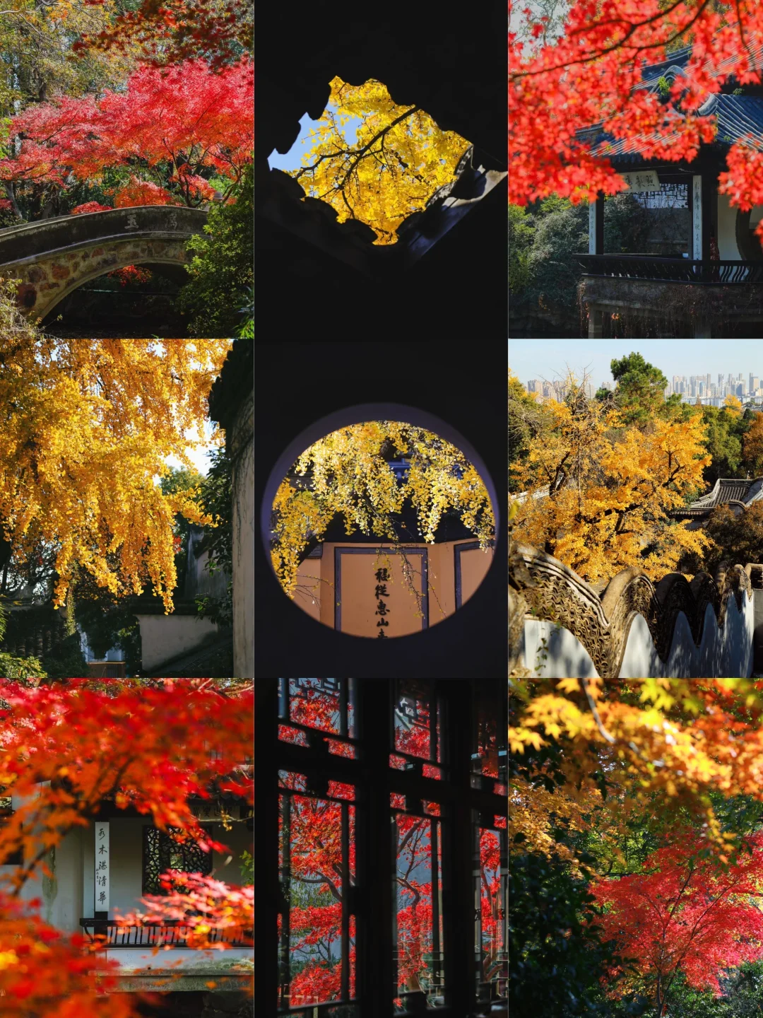 建议全文背诵！无锡最全秋日漫步地图大公开！