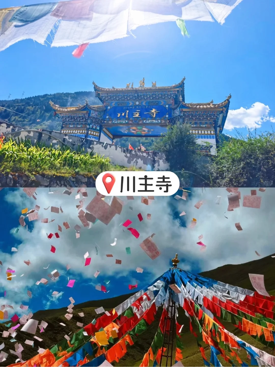 四川6天5晚正确打开方式🌸人均 600+✅