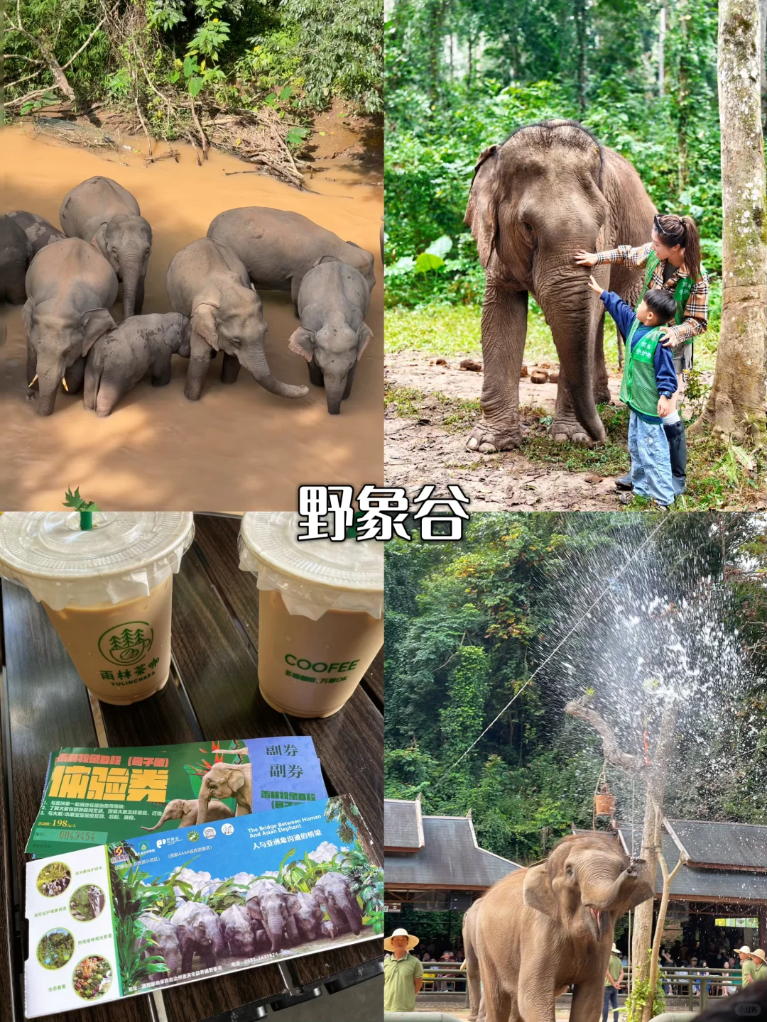 2025 国庆云南全攻略｜昆大丽一次玩遍🥁