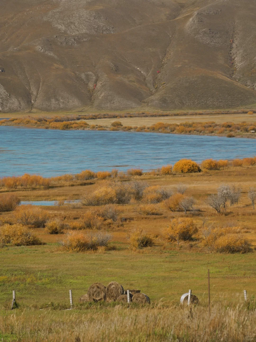 在呼伦贝尔见到了人生中最盛大的秋天🍂