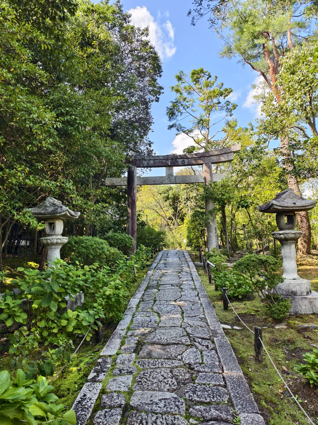 越在国外旅游,越觉得要复兴中国文化