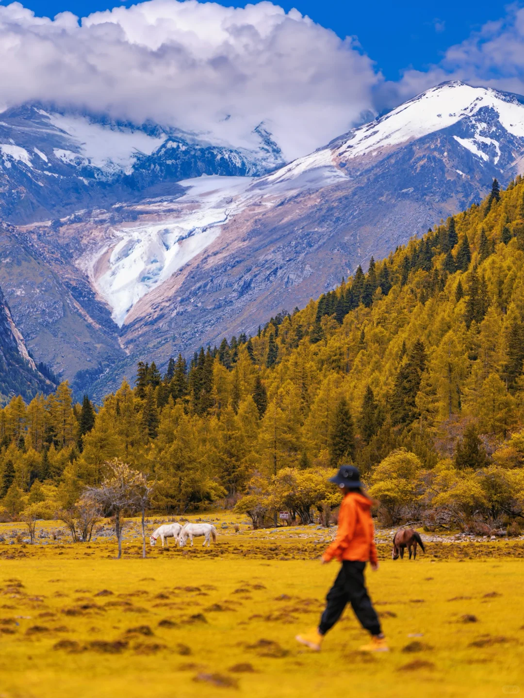 接下来的四姑娘山，是封神级别的秋景🍂