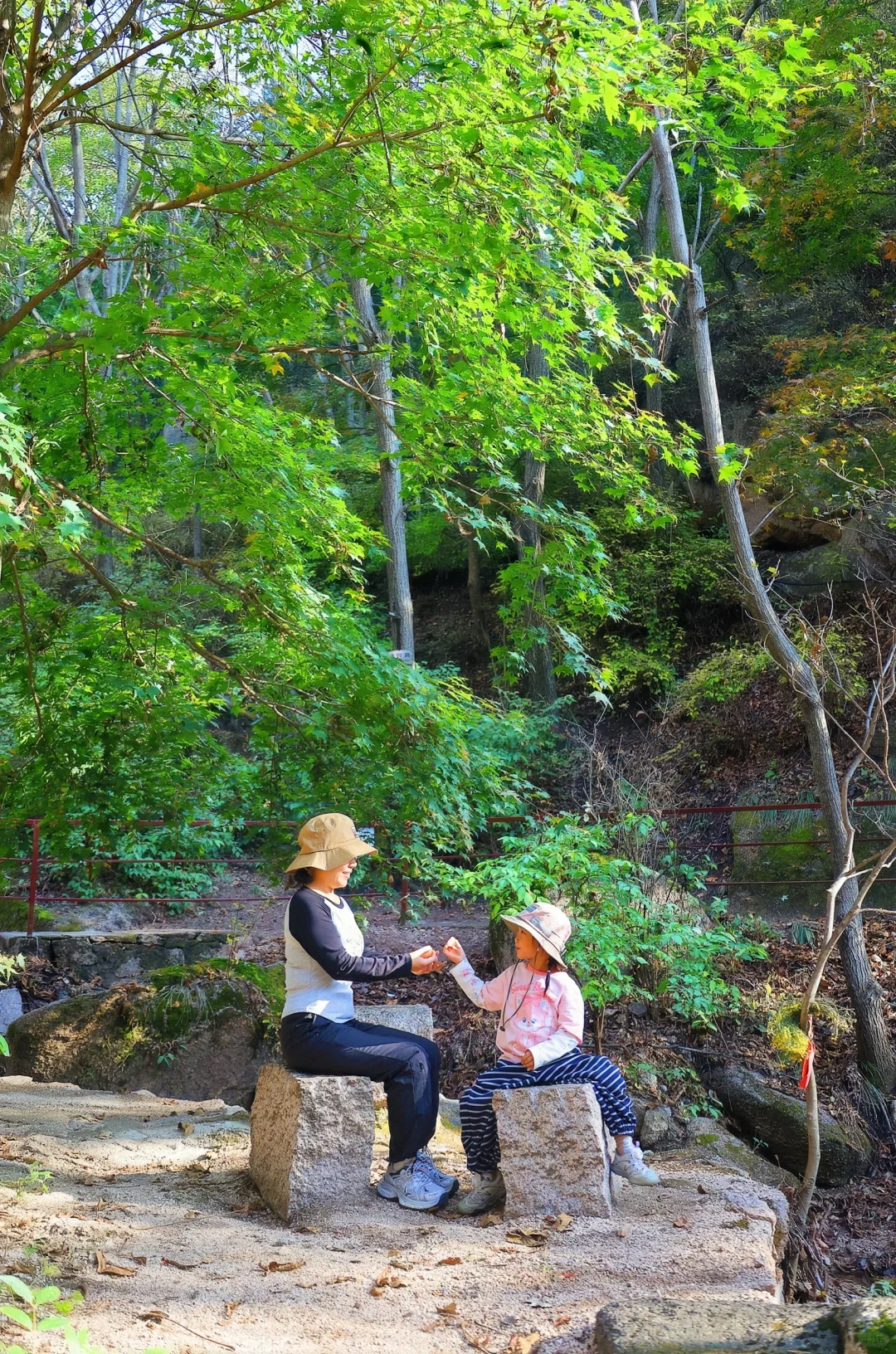 🚗京津周边|山里已层林尽染，人少景美绝绝子