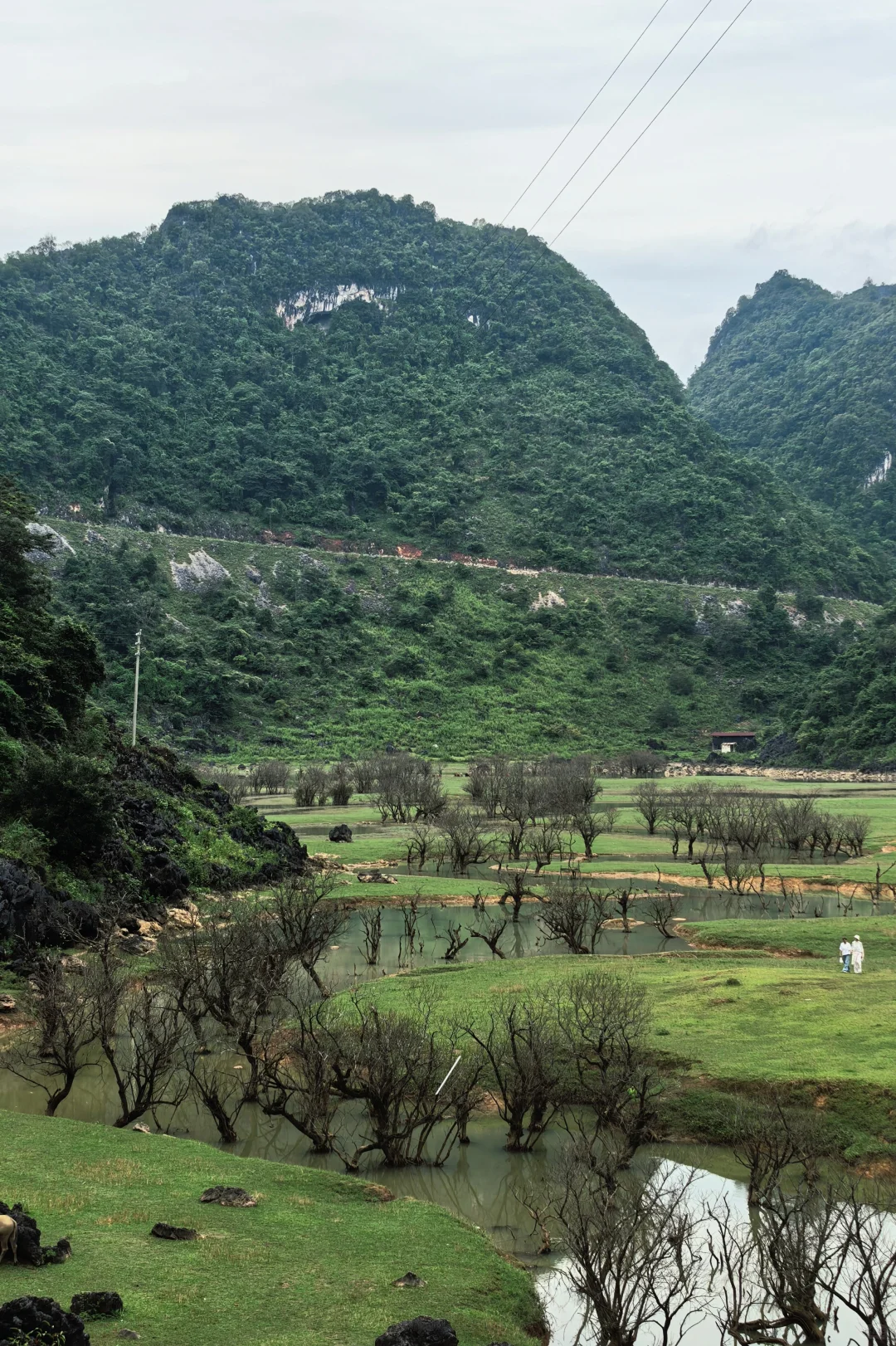 于是321跳进广西天坑！