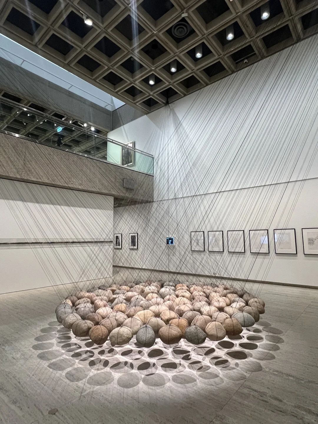 澳洲🇦🇺悉尼7天6夜-谢谢姐夫带我出去玩😍