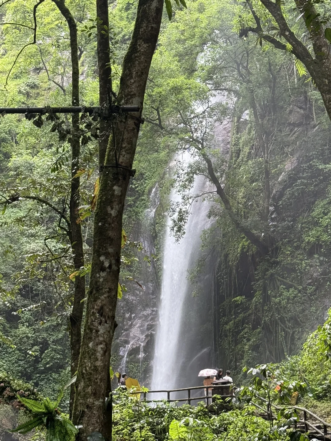 芒市 瑞丽 腾冲 已回 对自己做的攻略满意的
