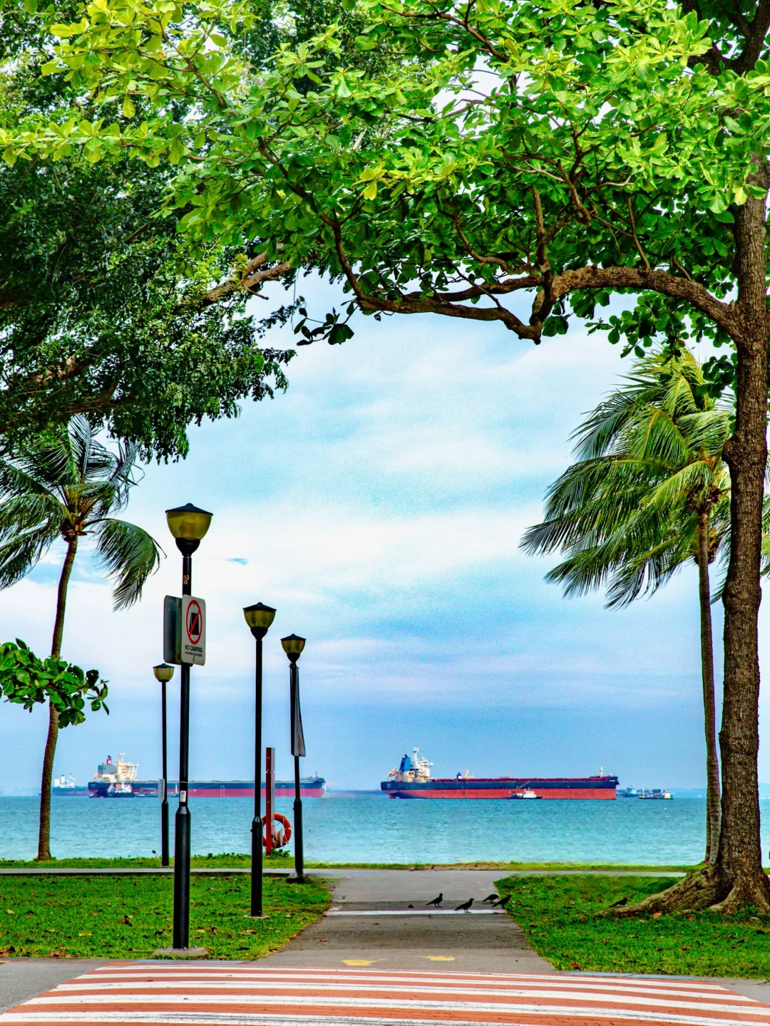 谁懂啊!被J人朋友做的新加坡攻略震撼到啦!!