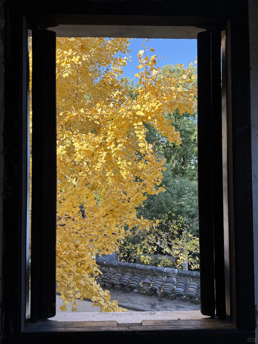 建议全文背诵！无锡最全秋日漫步地图大公开！