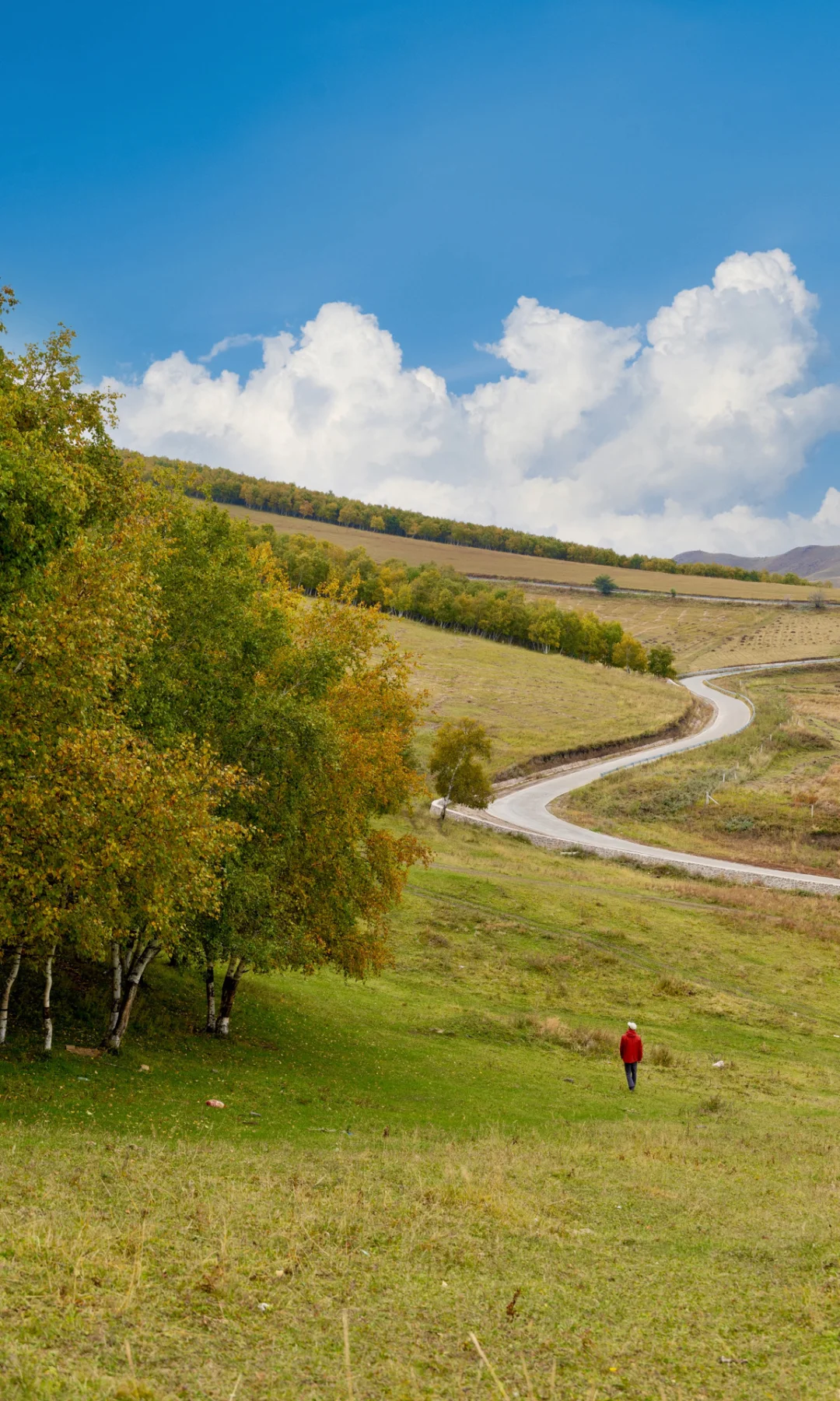 北京3h🚗 闯进了秋天的油画世界！