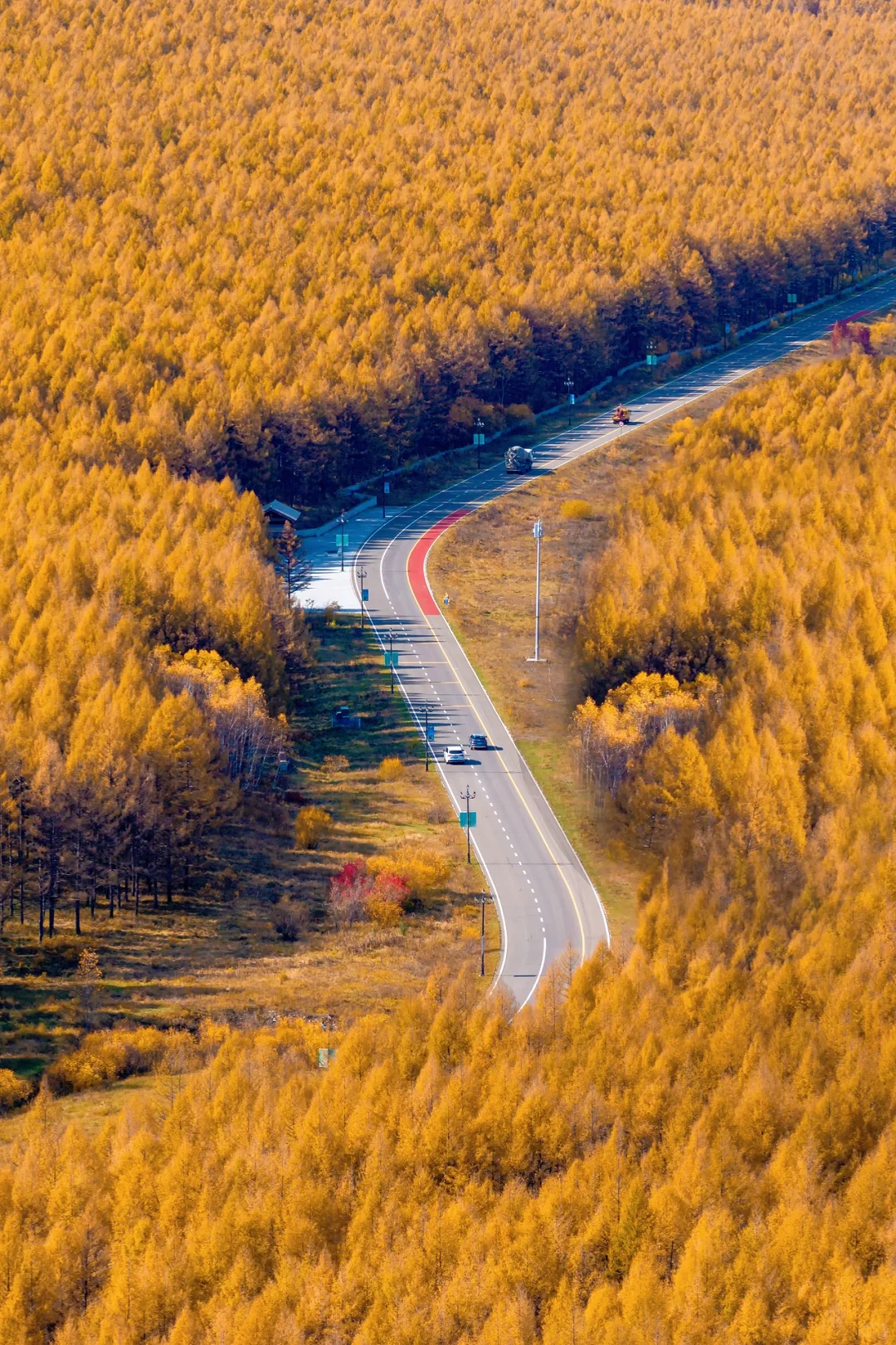 阿尔山，满足了我对大兴安岭秋天的所有幻想