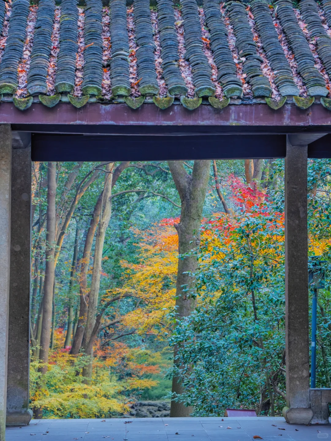 接下来，杭州堪称国内旅行的天花板‼️