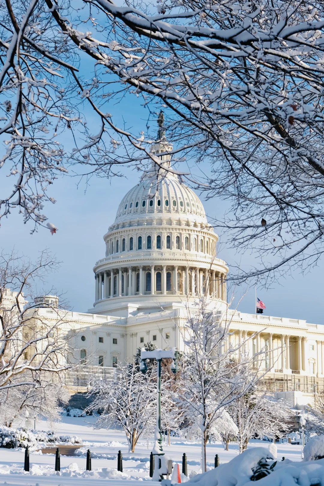 📸2021-2022最喜欢的18张图存档