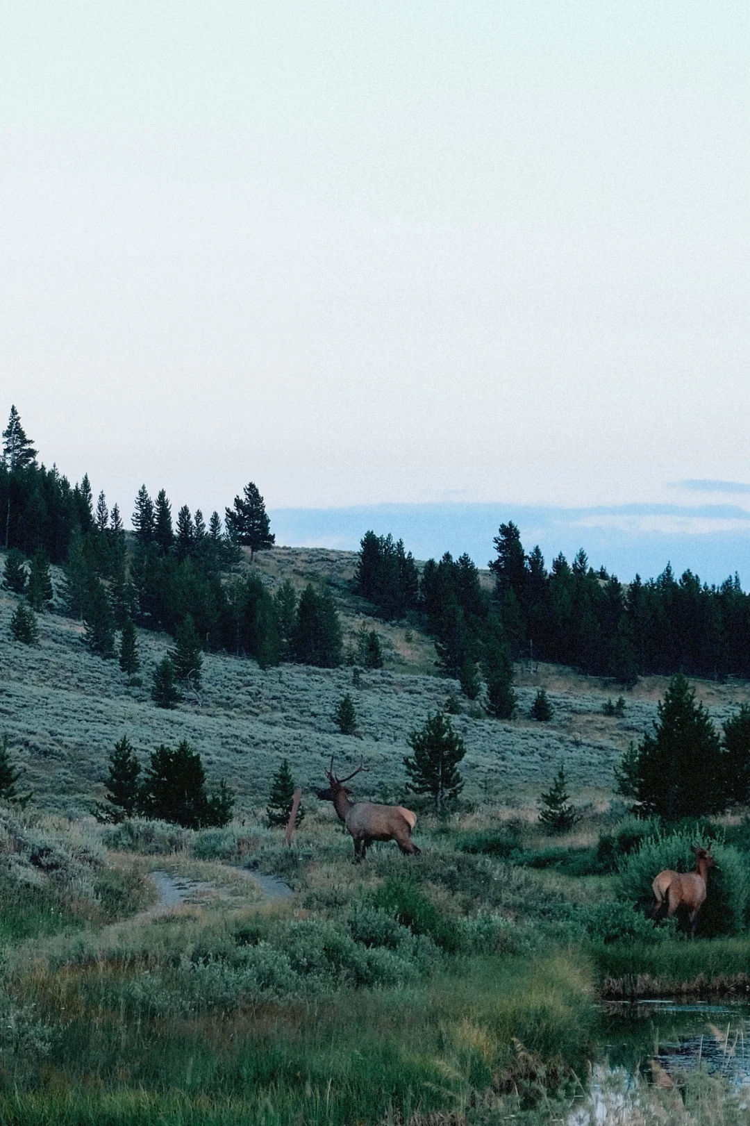 📸2021-2022最喜欢的18张图存档