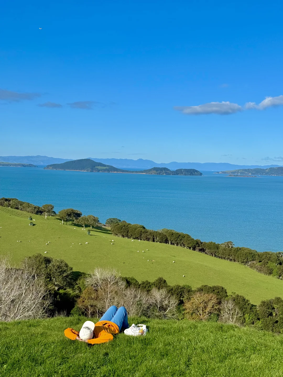 奥克兰已回，坚决不删！！！能劝一个是一个……