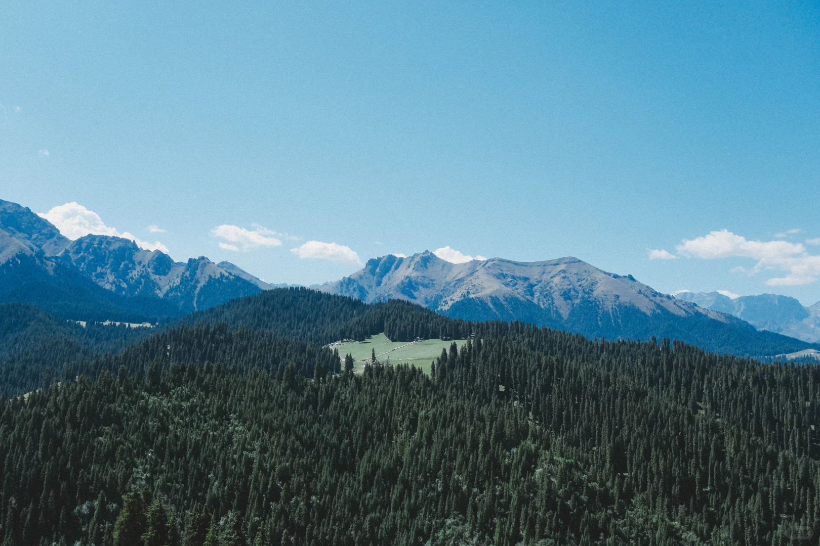 有草原的地方都好可爱呀！