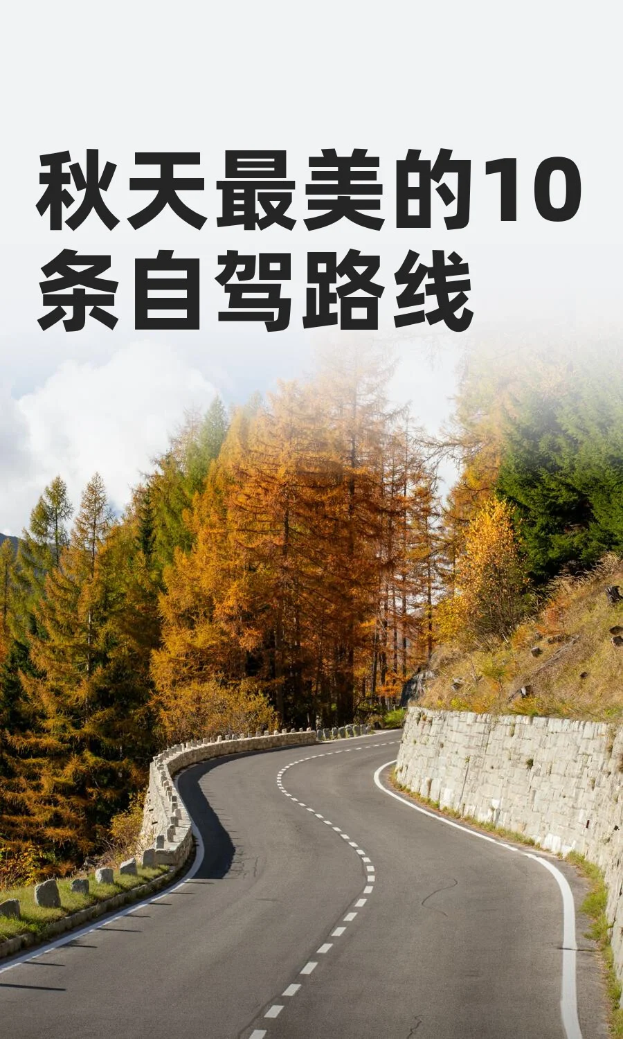 秋天最美的10条自驾路线