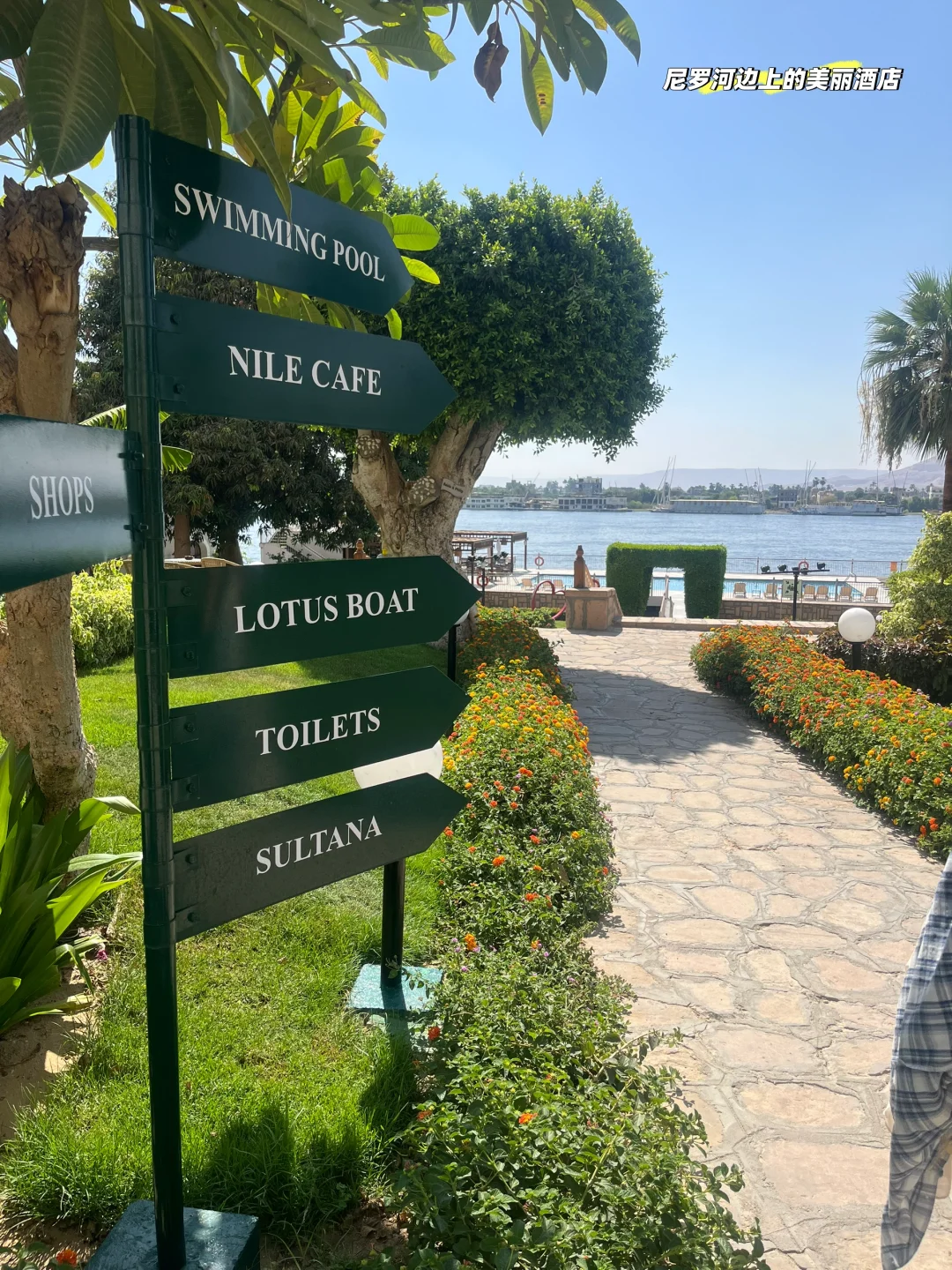 埃及8天4城自由行攻略（附简洁文字版）