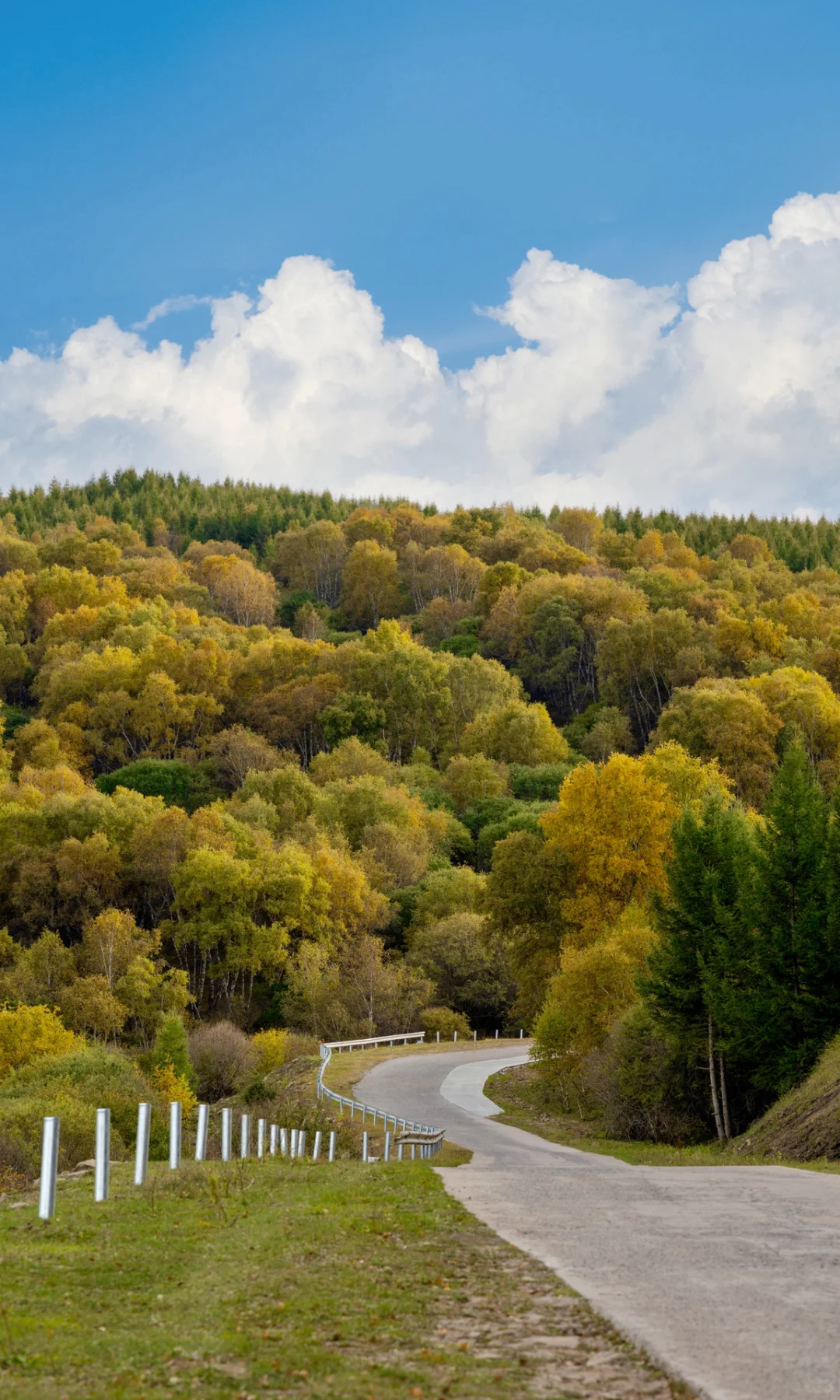 北京3h🚗 闯进了秋天的油画世界！