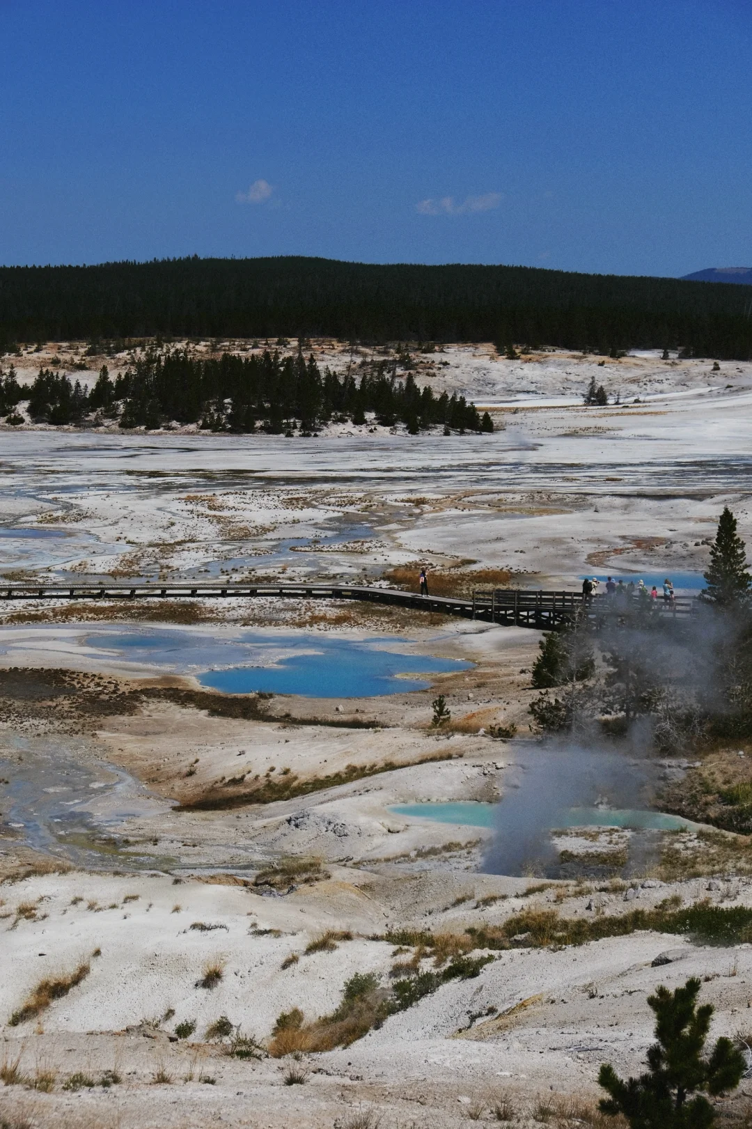 📸2021-2022最喜欢的18张图存档