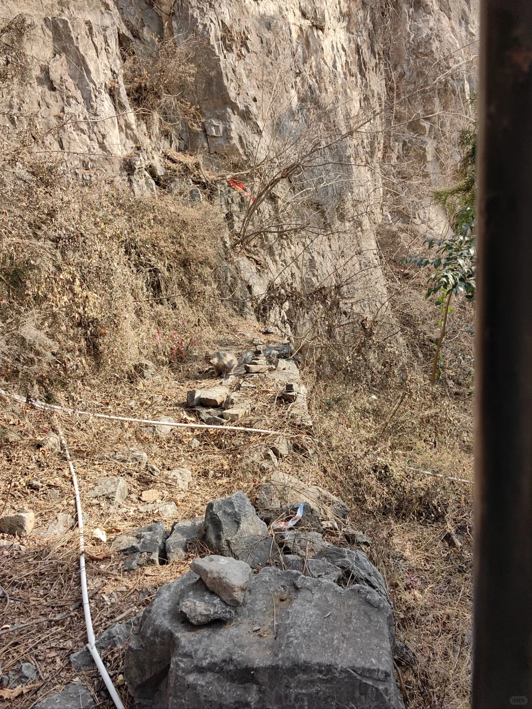 鹤壁古灵山景区