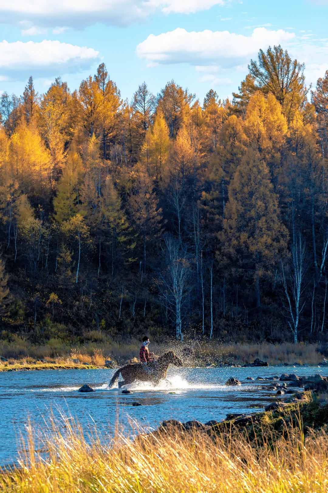 阿尔山，满足了我对大兴安岭秋天的所有幻想