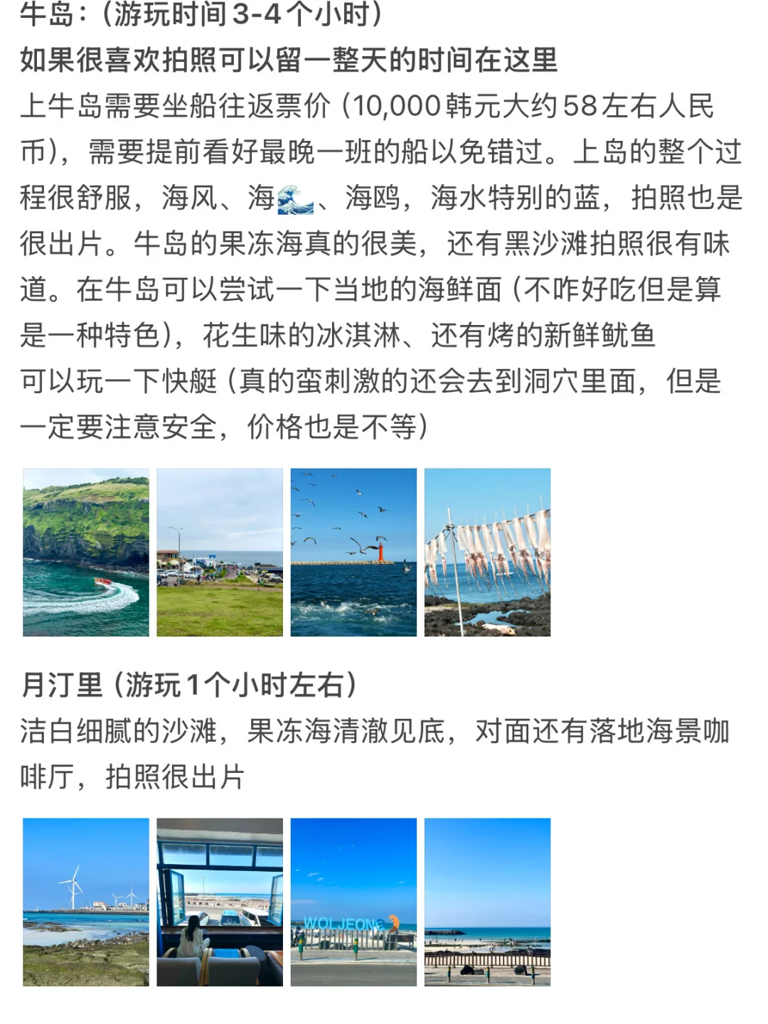 本人做的济州岛攻略真的太满意了！！！