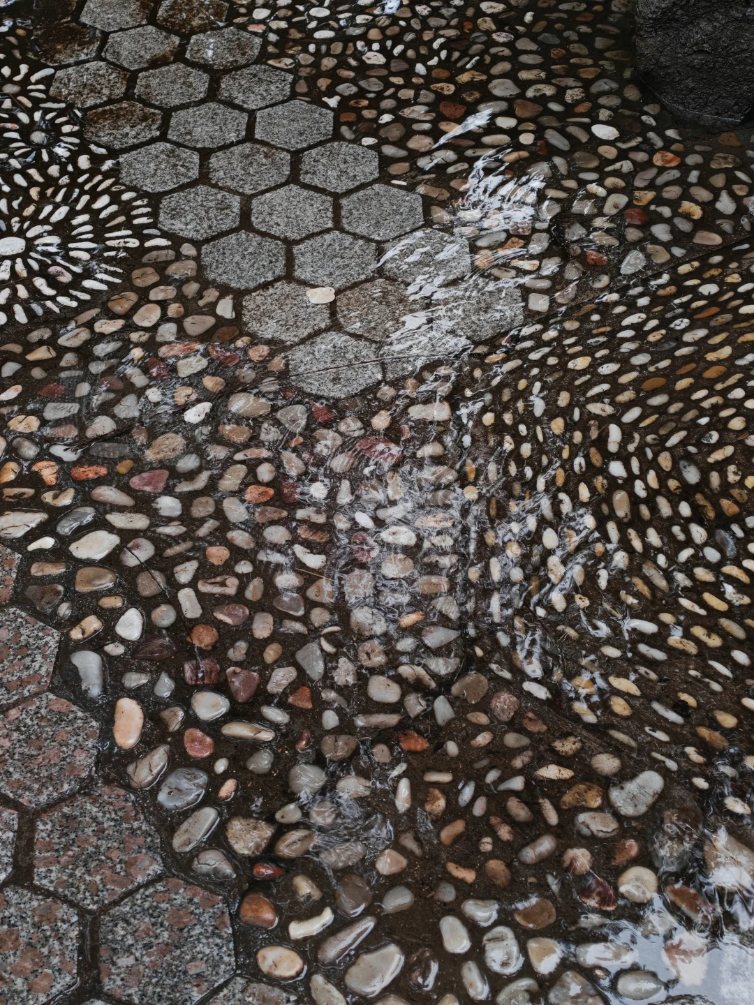 济南的泉水已经溢出来了……