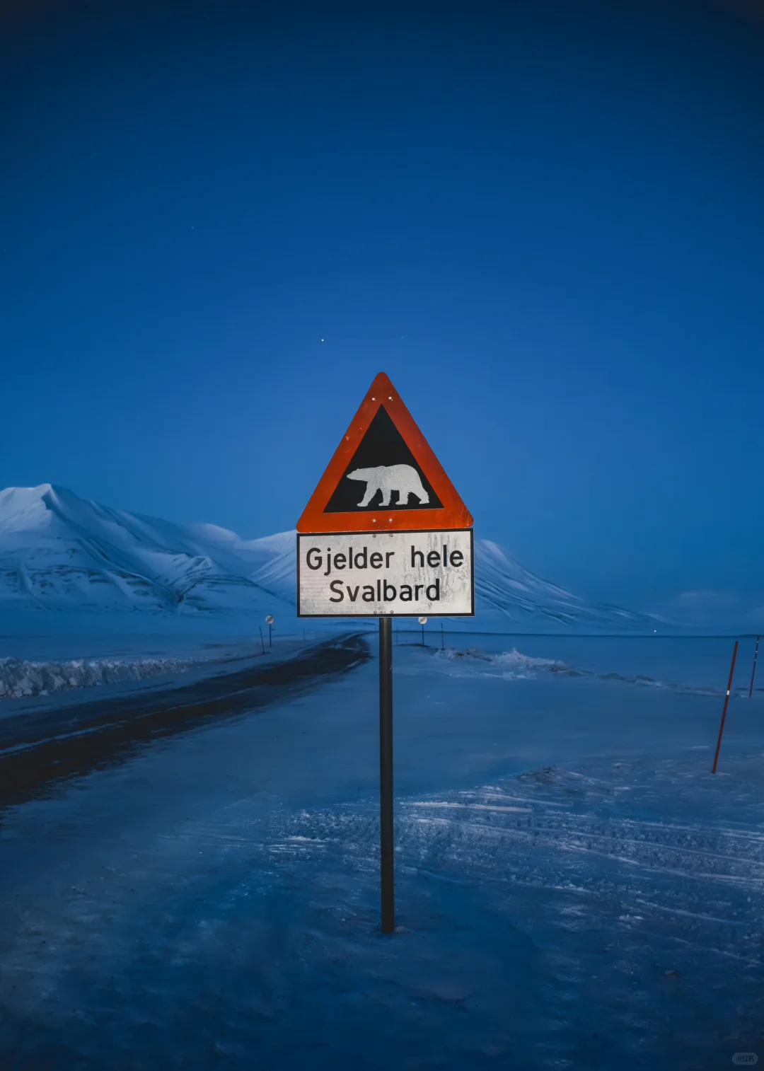 这里对中国永久免签！