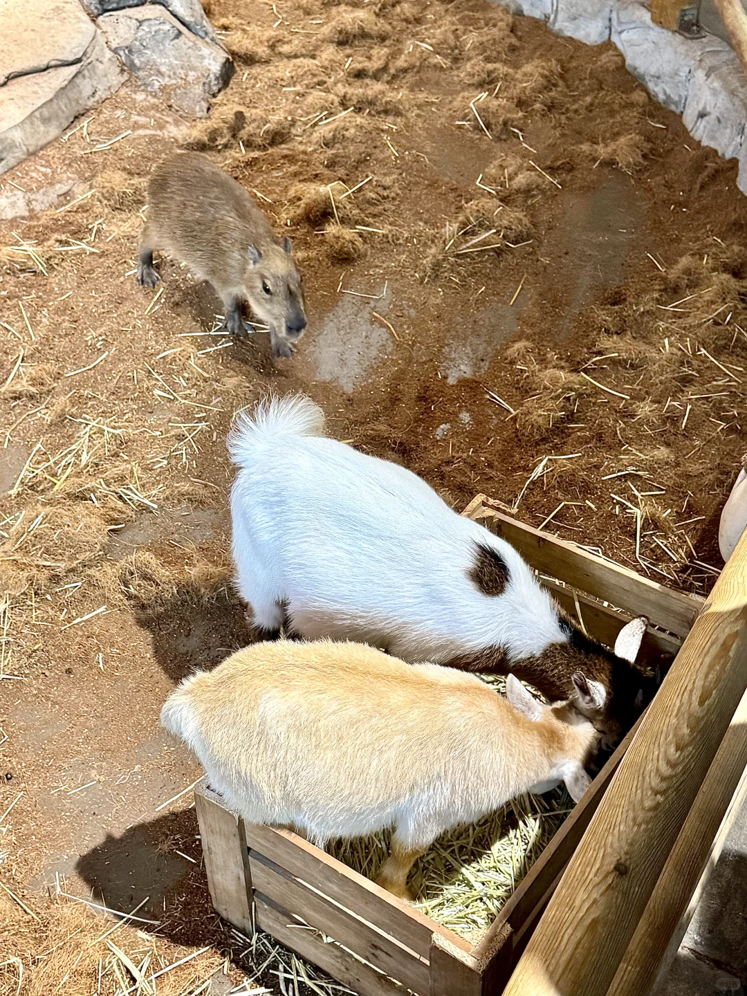 用18张图纪念我的长沙之旅🥹🐾