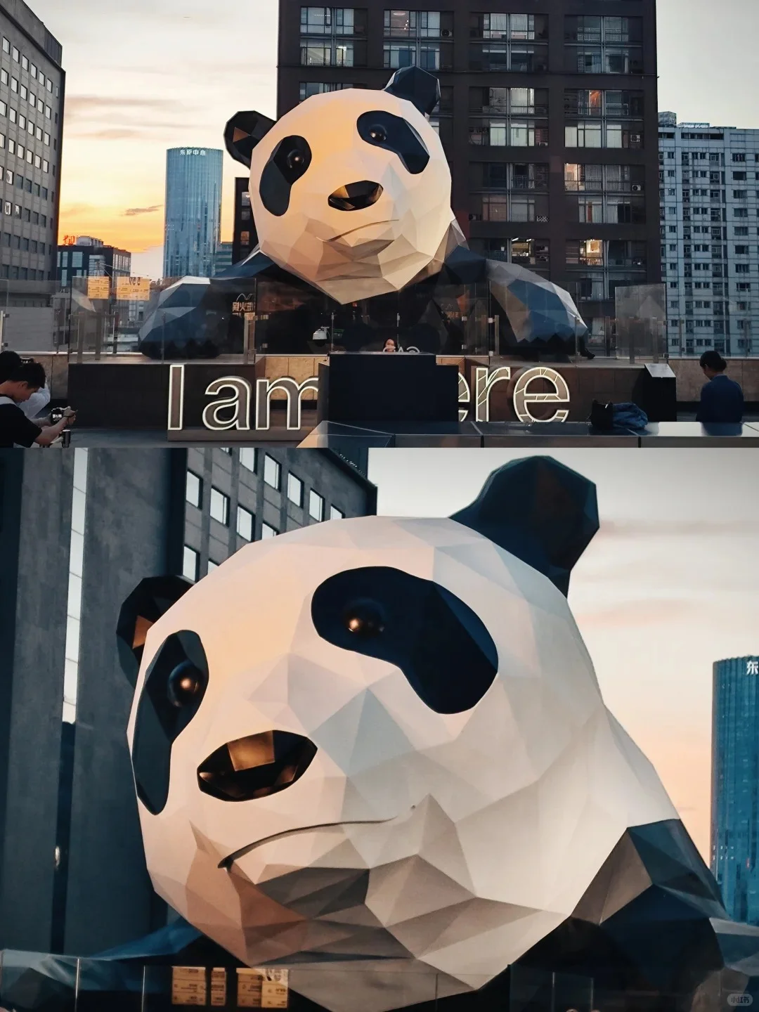 🌆恋爱脑版全国环线游