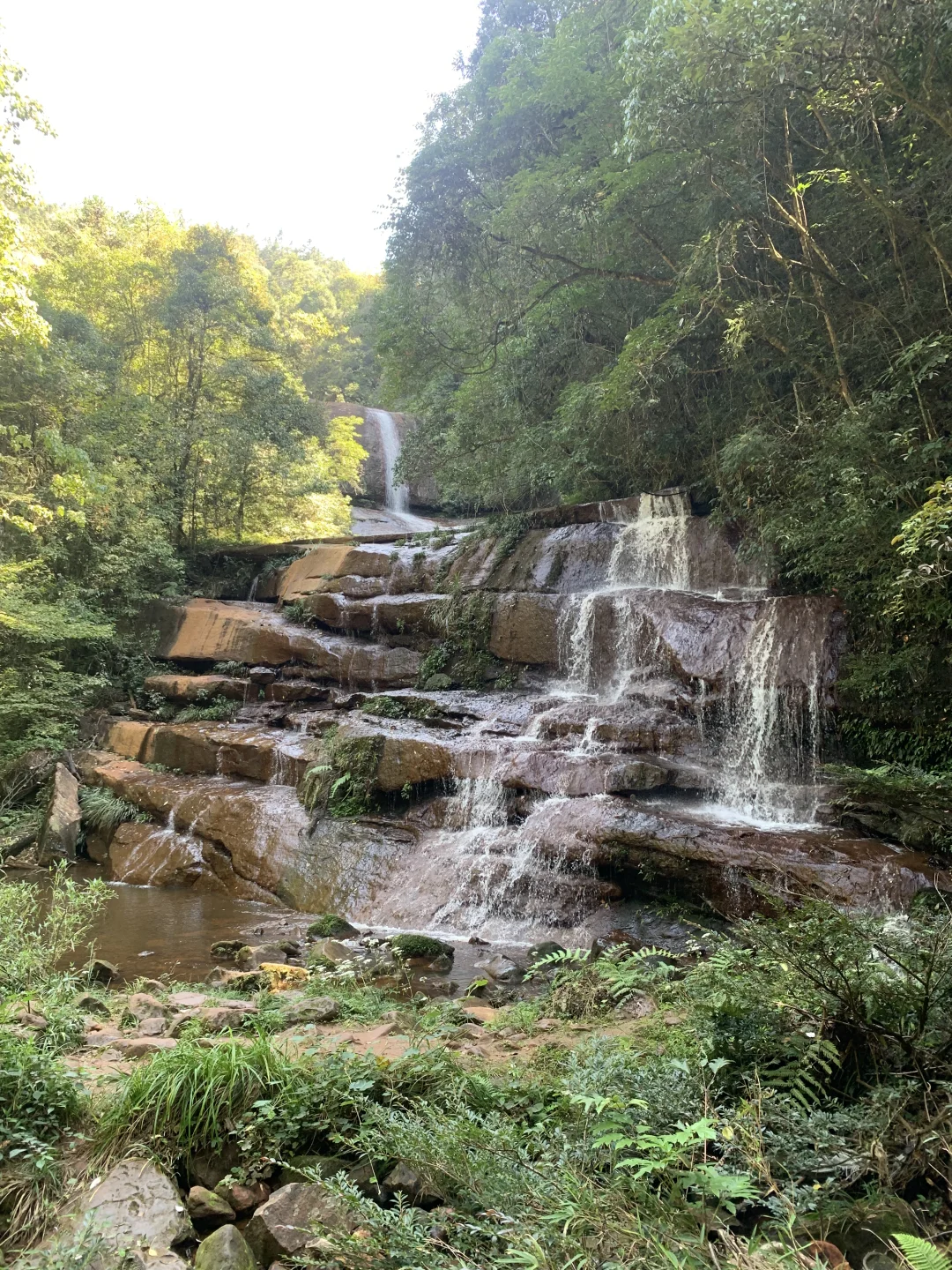 重庆5A景区四面山旅游避坑攻略