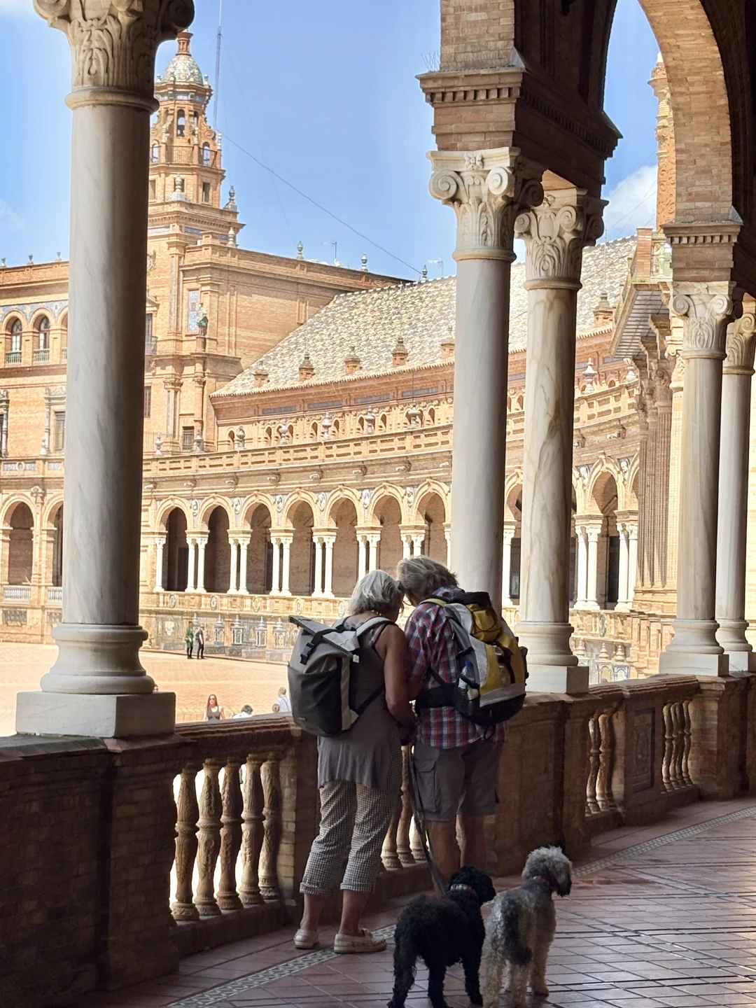 🇪🇸第一次来西班牙！被塞利维亚美晕了🍊