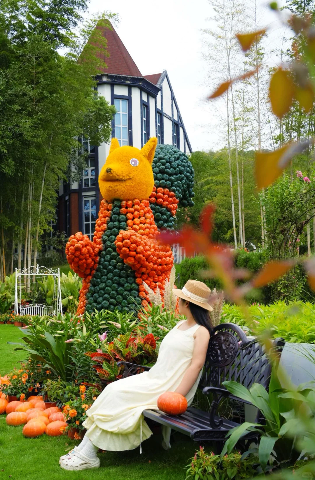 江浙沪。最具仙侠气息的古镇出现了