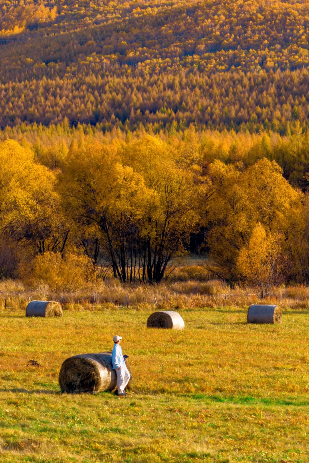 阿尔山,满足了我对大兴安岭秋天的所有幻想
