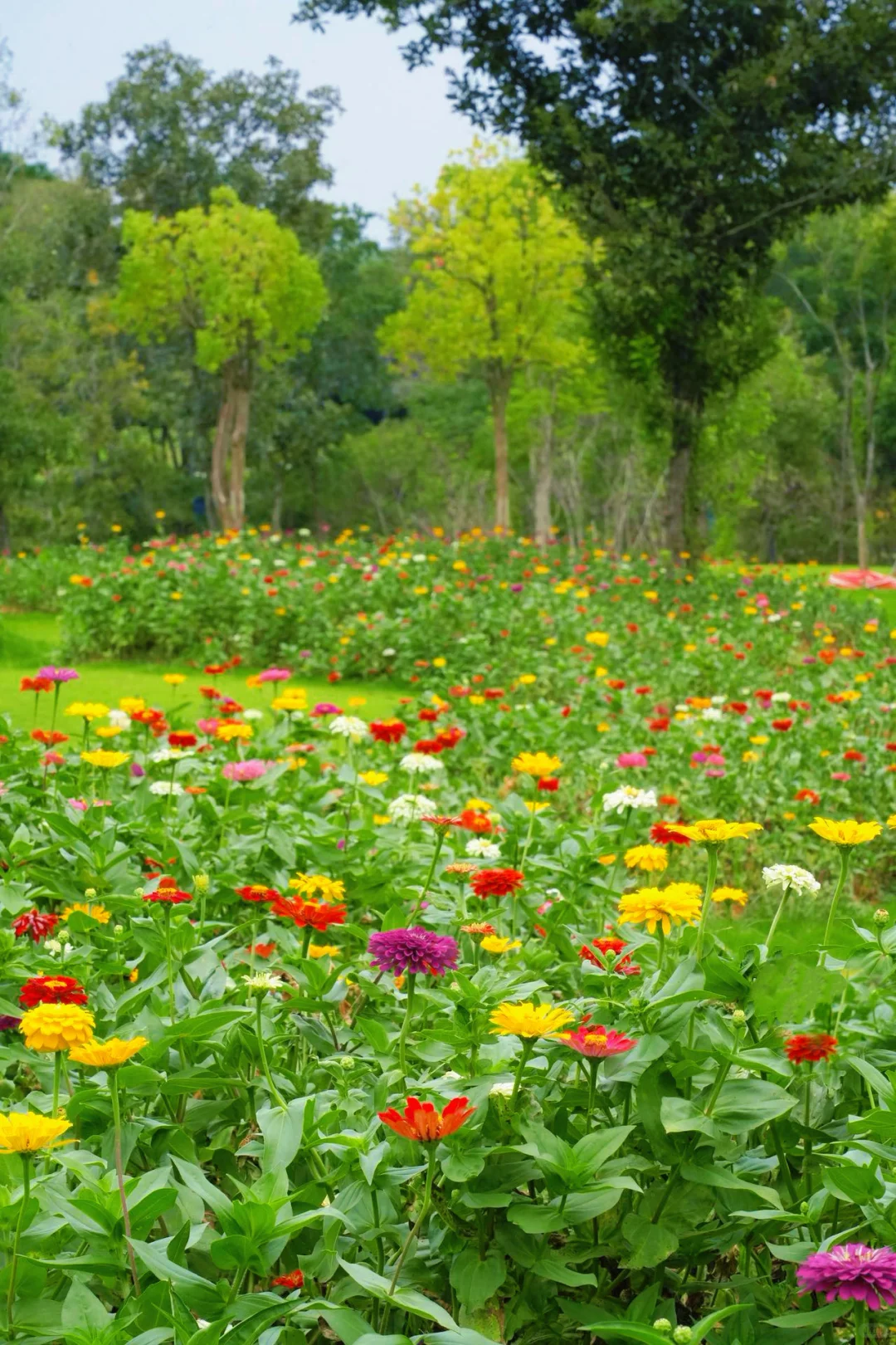 江浙沪。最具仙侠气息的古镇出现了