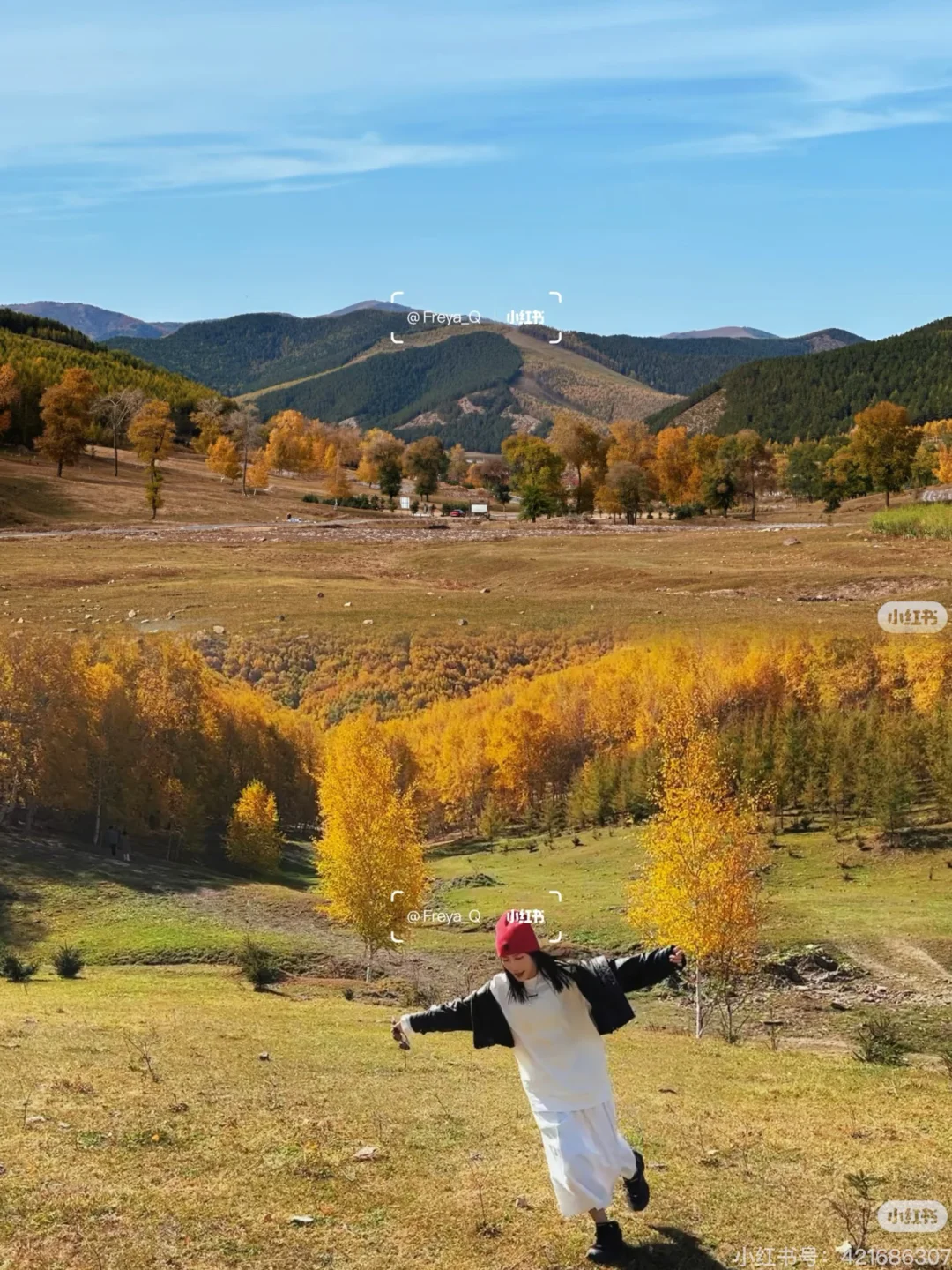 天津周边游|牛马们十一反向出行就选这条路!