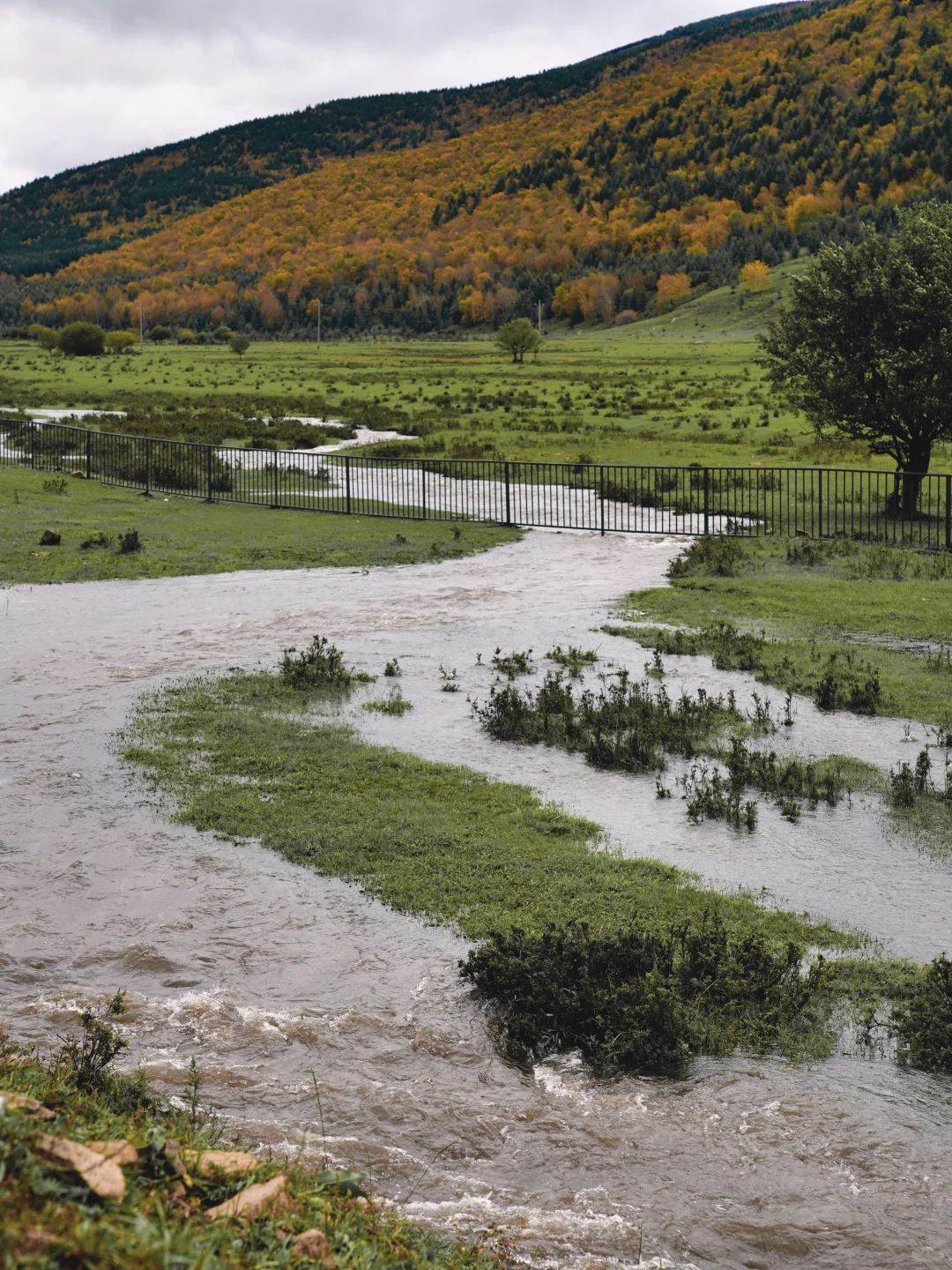 天津周边游|牛马们十一反向出行就选这条路!