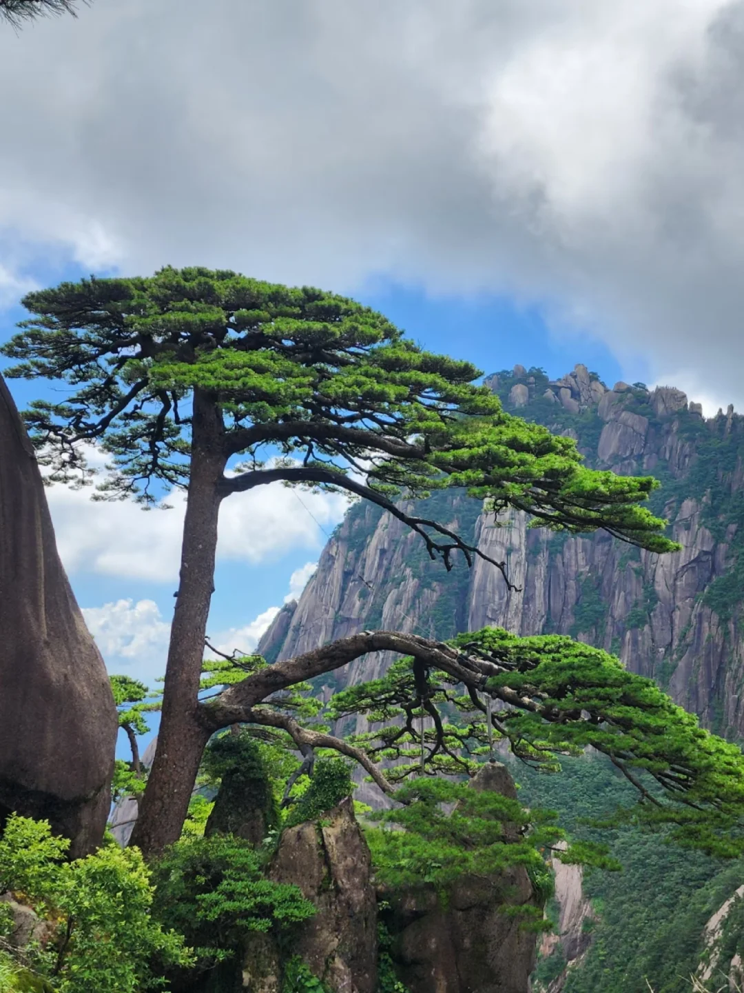 安徽又对长三角市民发福利了！